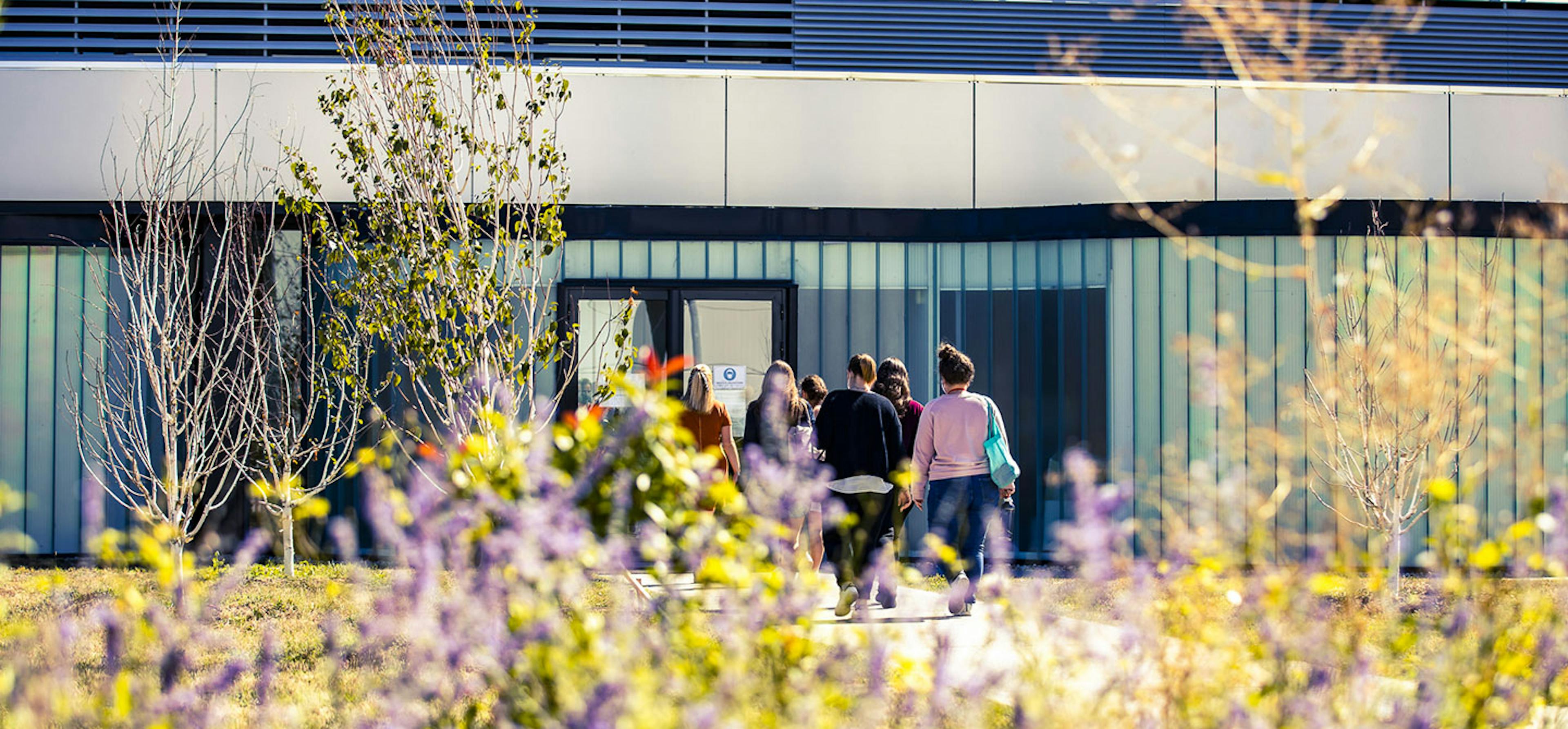 Fleurs sauvages devant un bâtiment Boiron