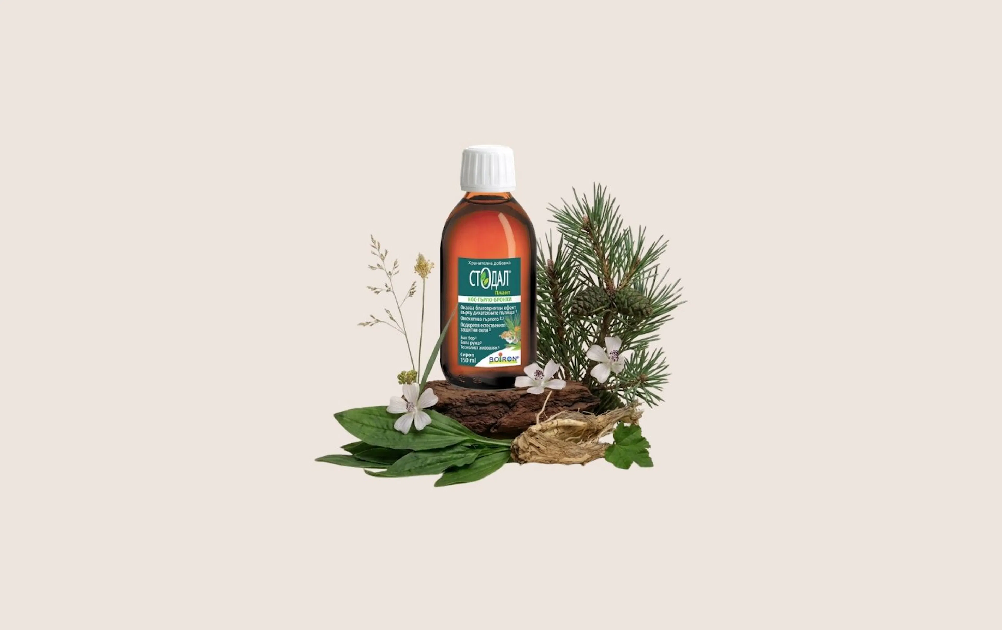 BG_Stodal Plantes syr