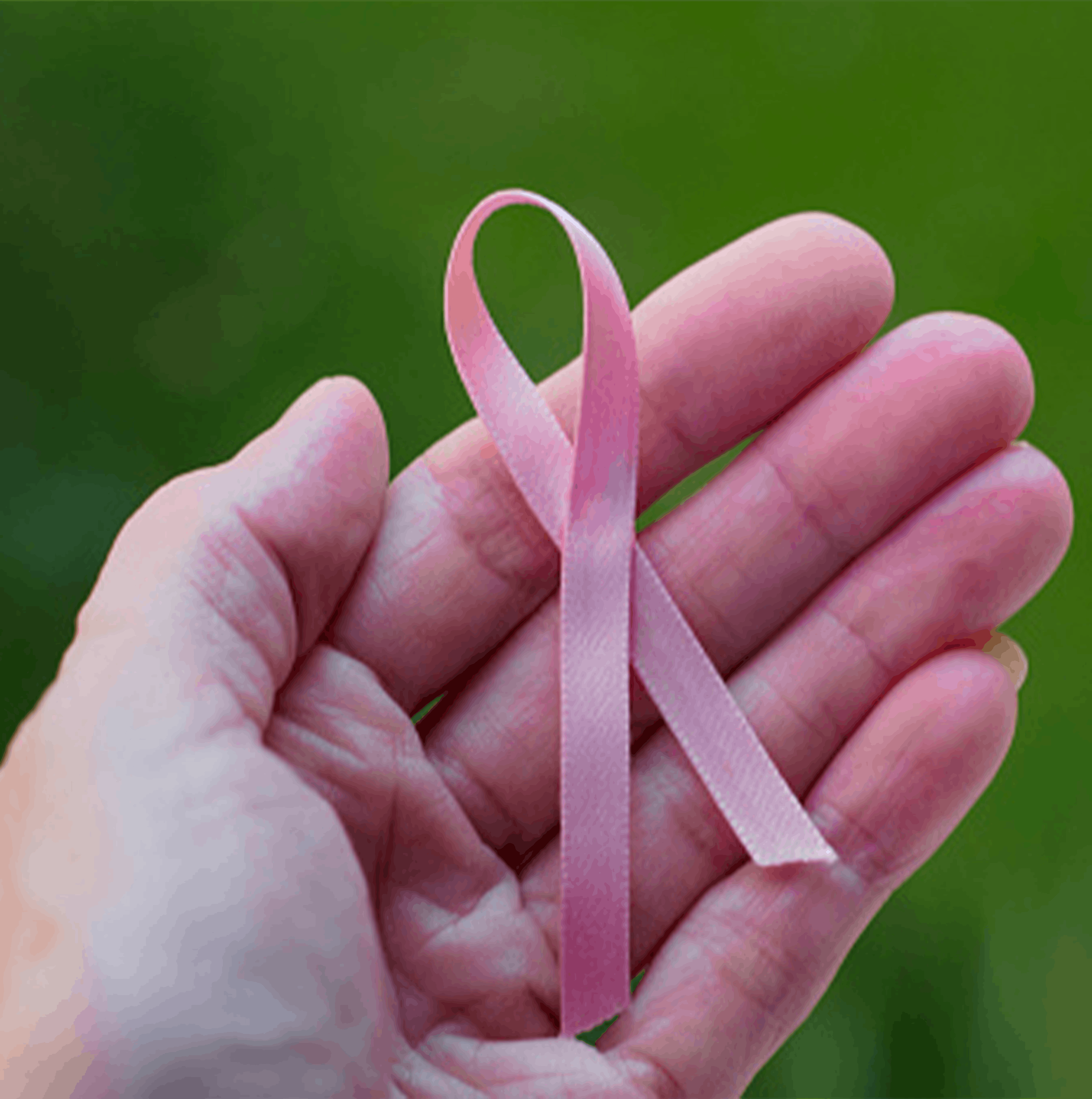 octobre rose cancer du sein
