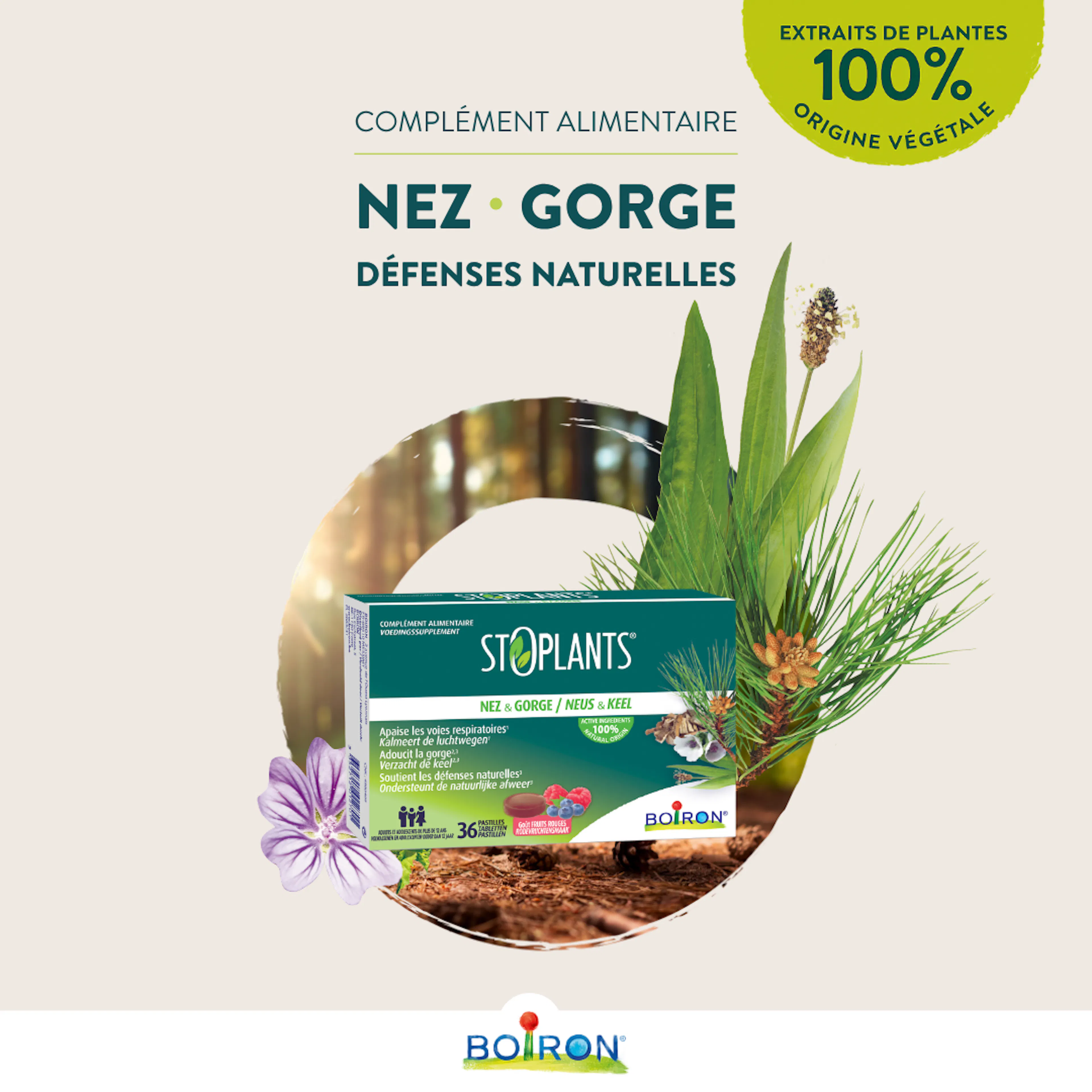 StoPlants Nez & Gorge Pastilles gorge naturelles