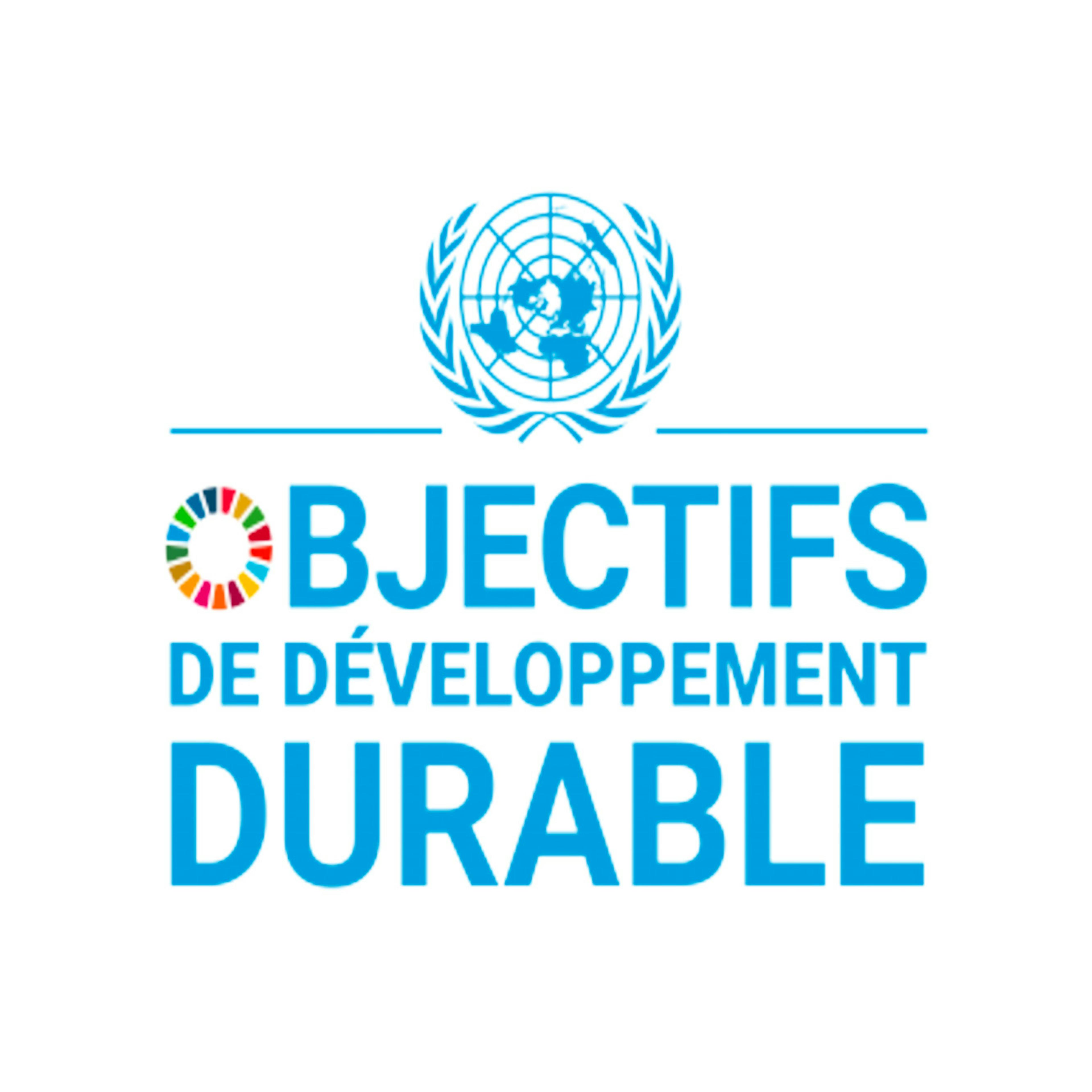 logo_objectifs_developpement_durable