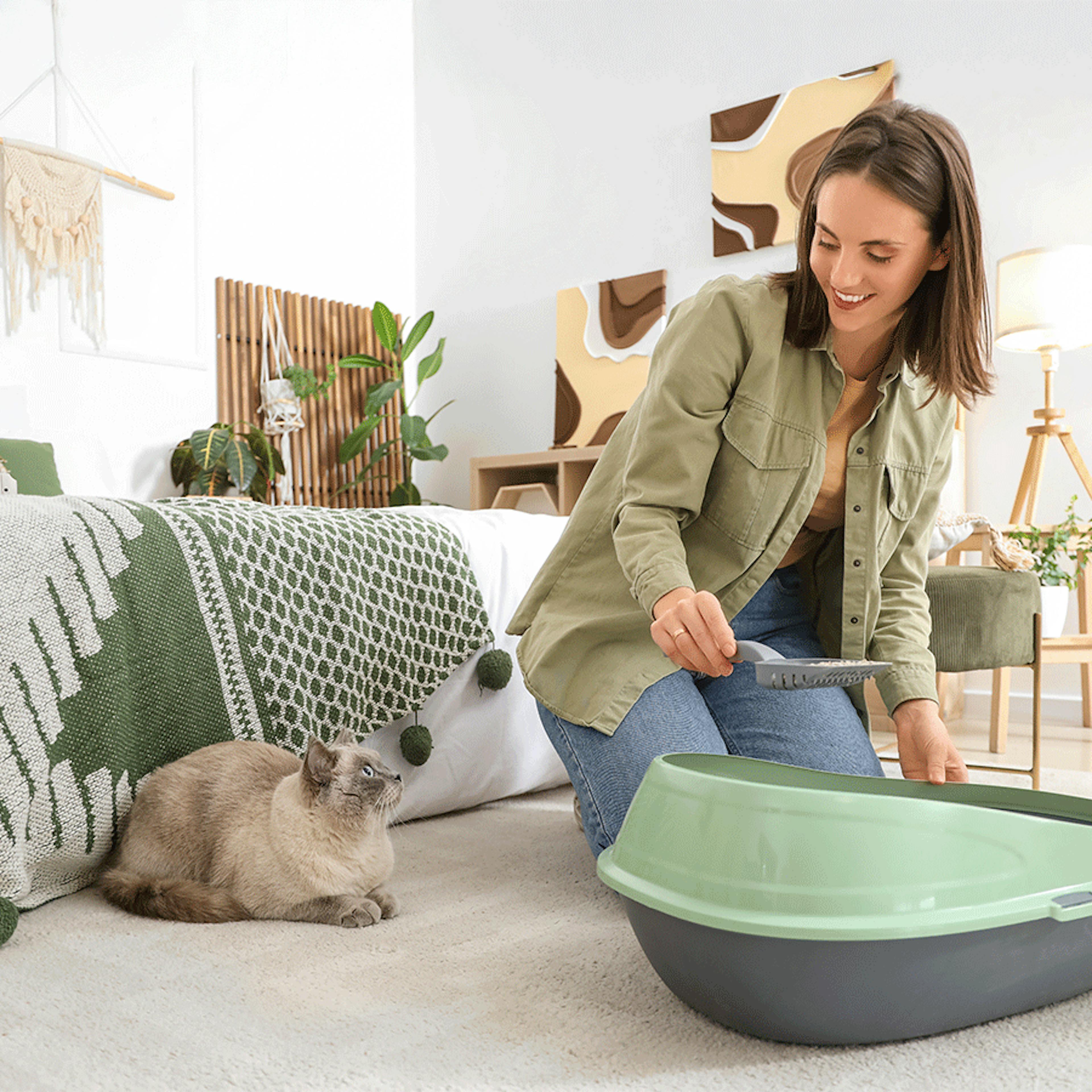 prévenir problèmes urinaires chats boiron