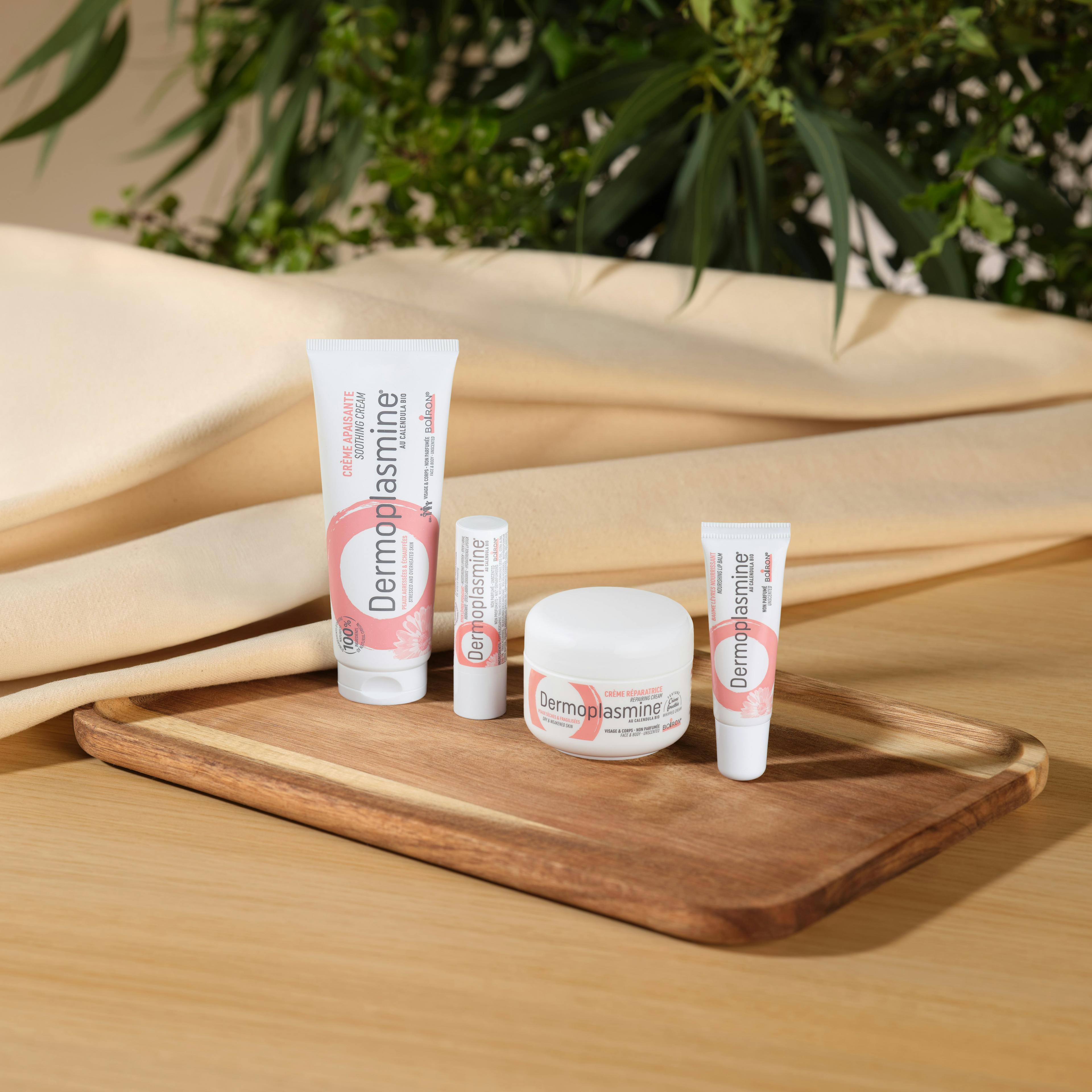 Gamme de soins Dermoplasmine disposée sur un plateau en bois