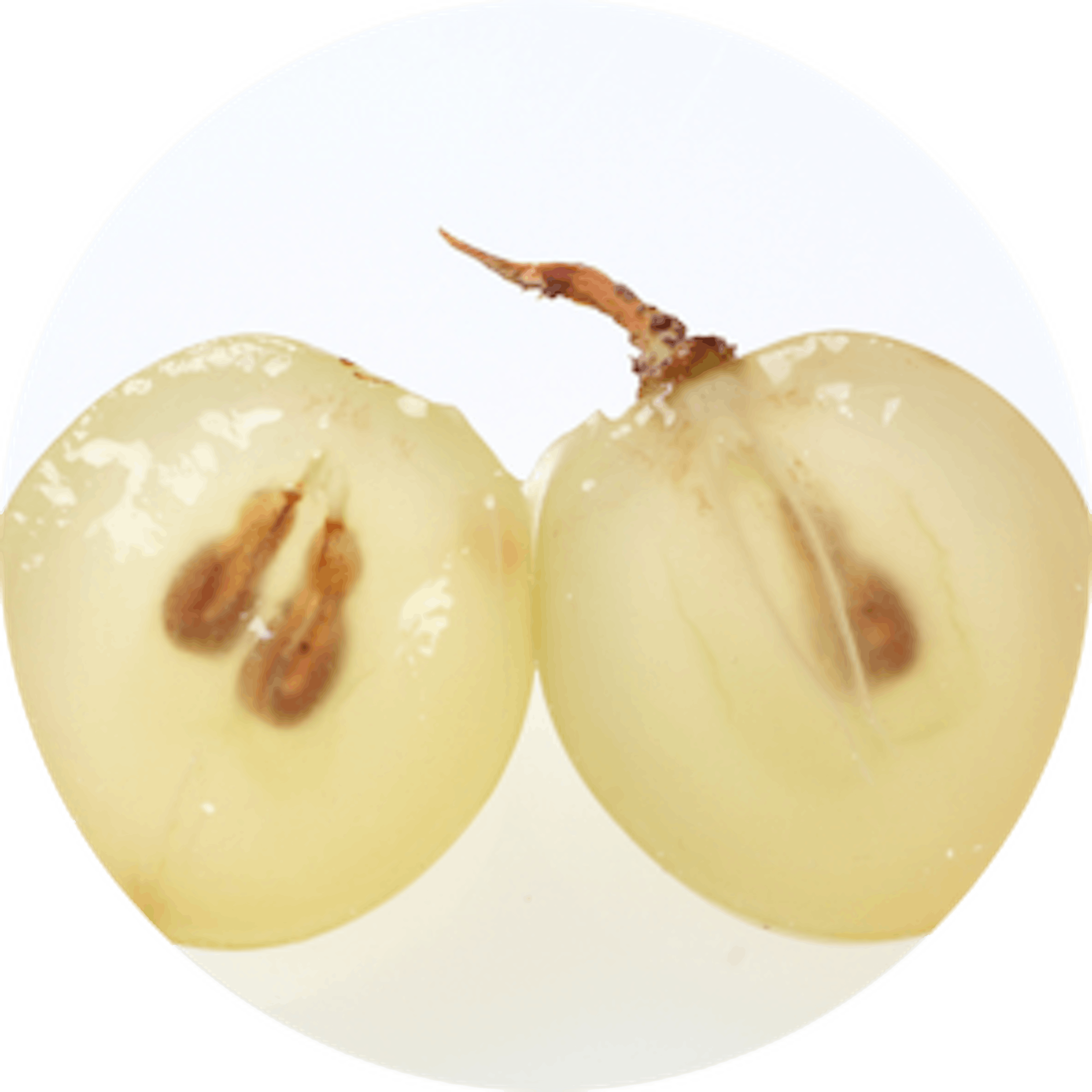 Raisins avec pepins VDEF pour mag nuit