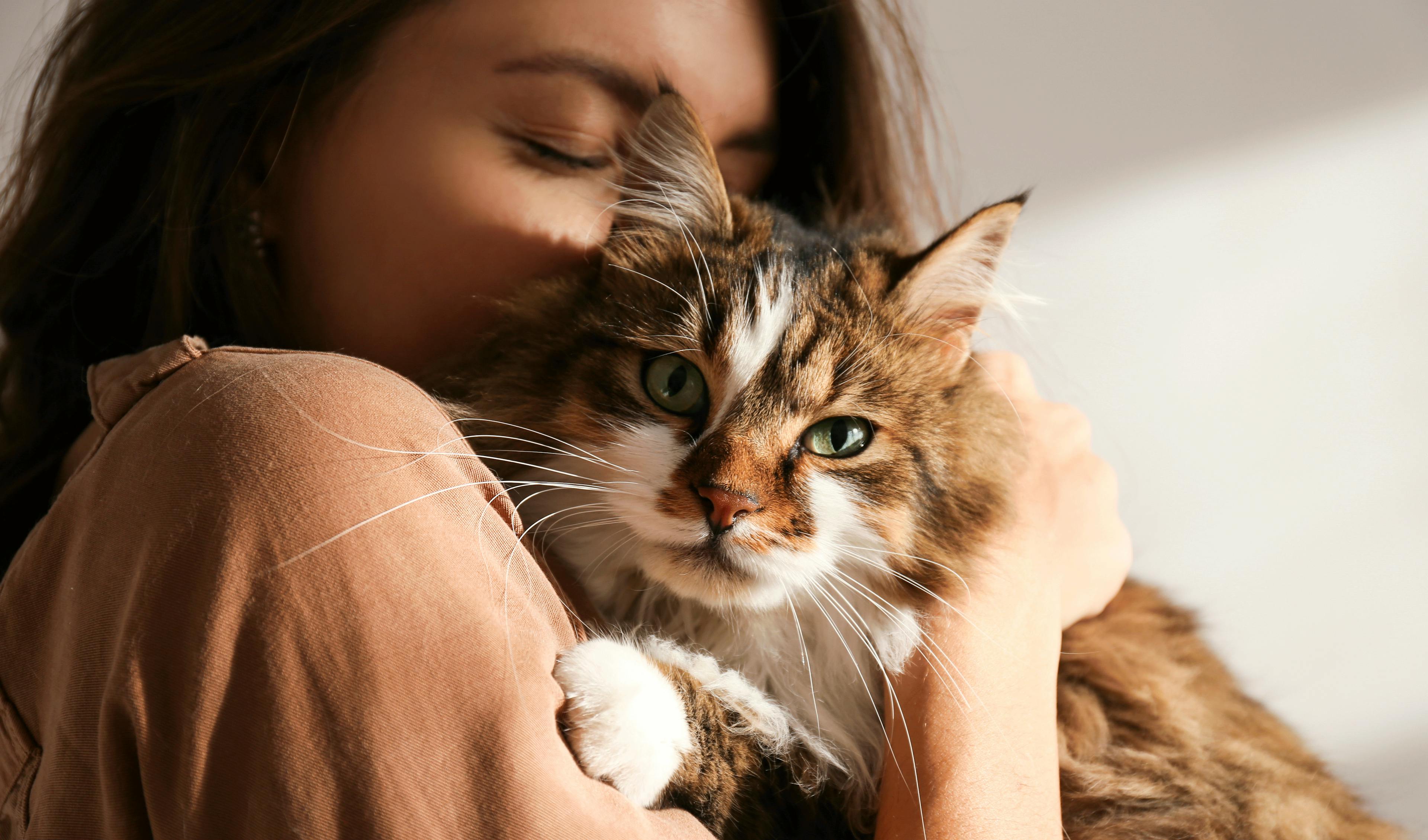 apaiser soulager anxiete chat homeopathie boiron