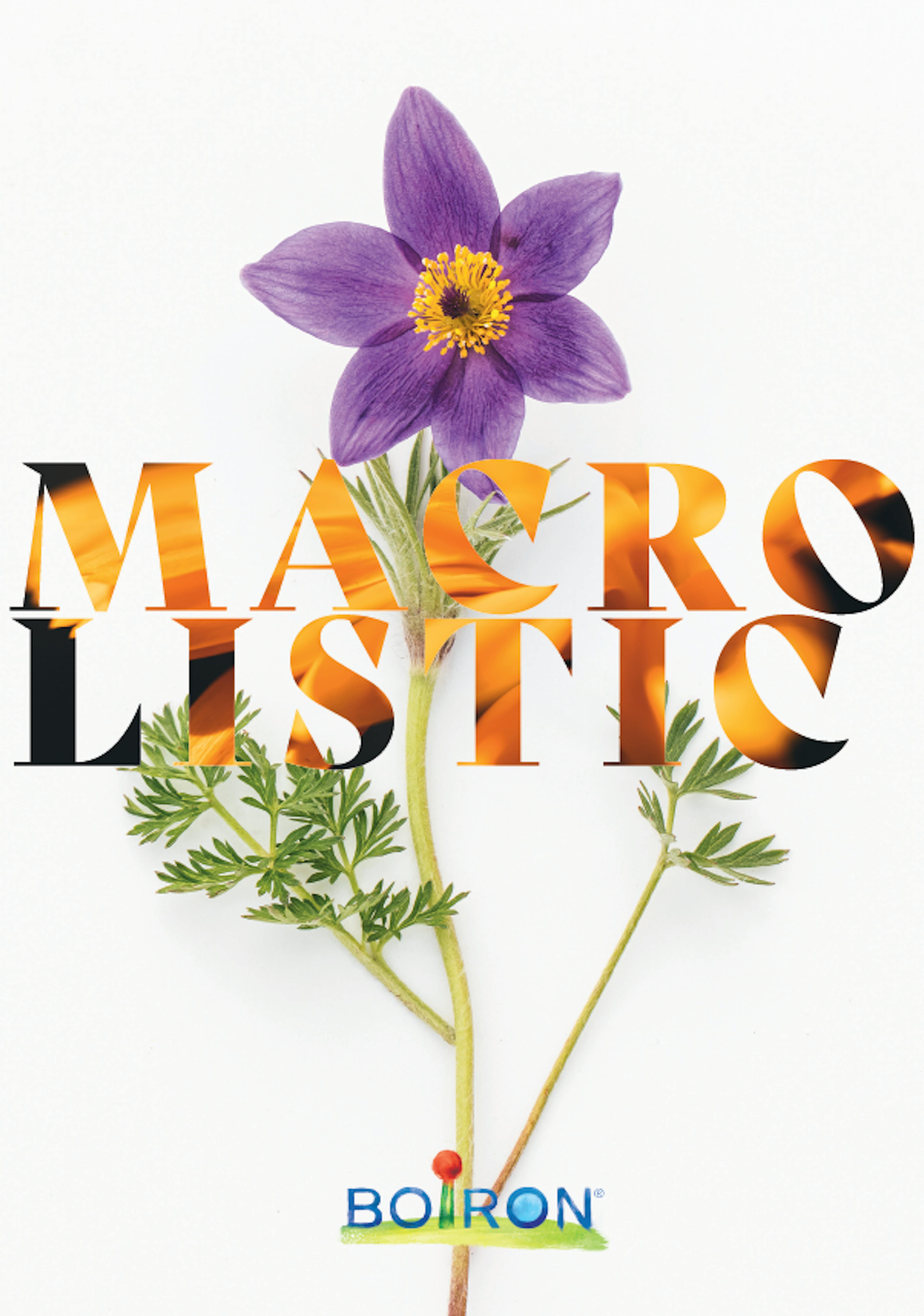 Livre matières premières Boiron