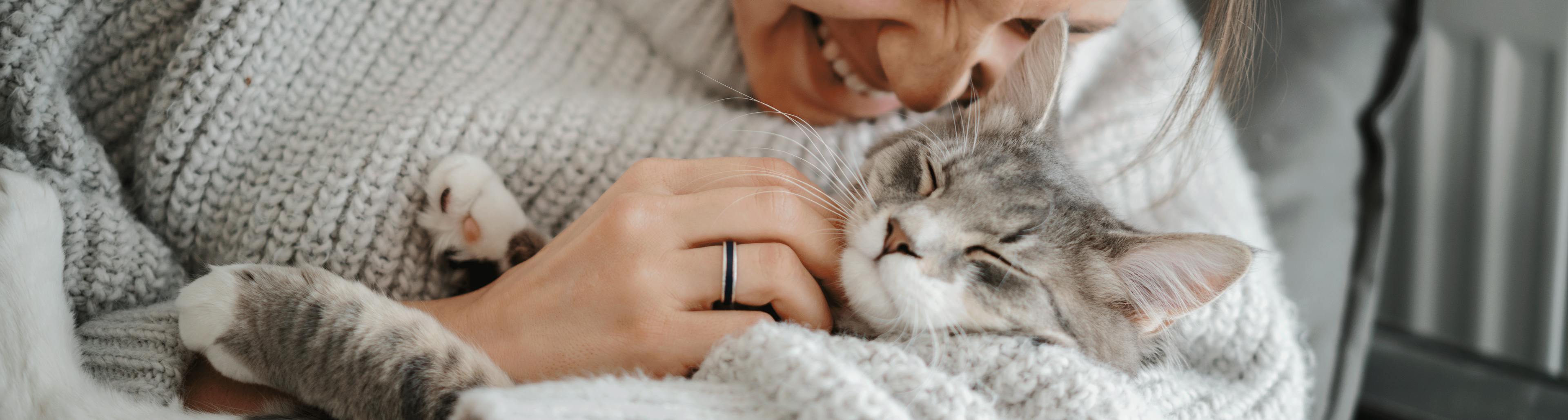 Coryza du chat détecter traiter boiron
