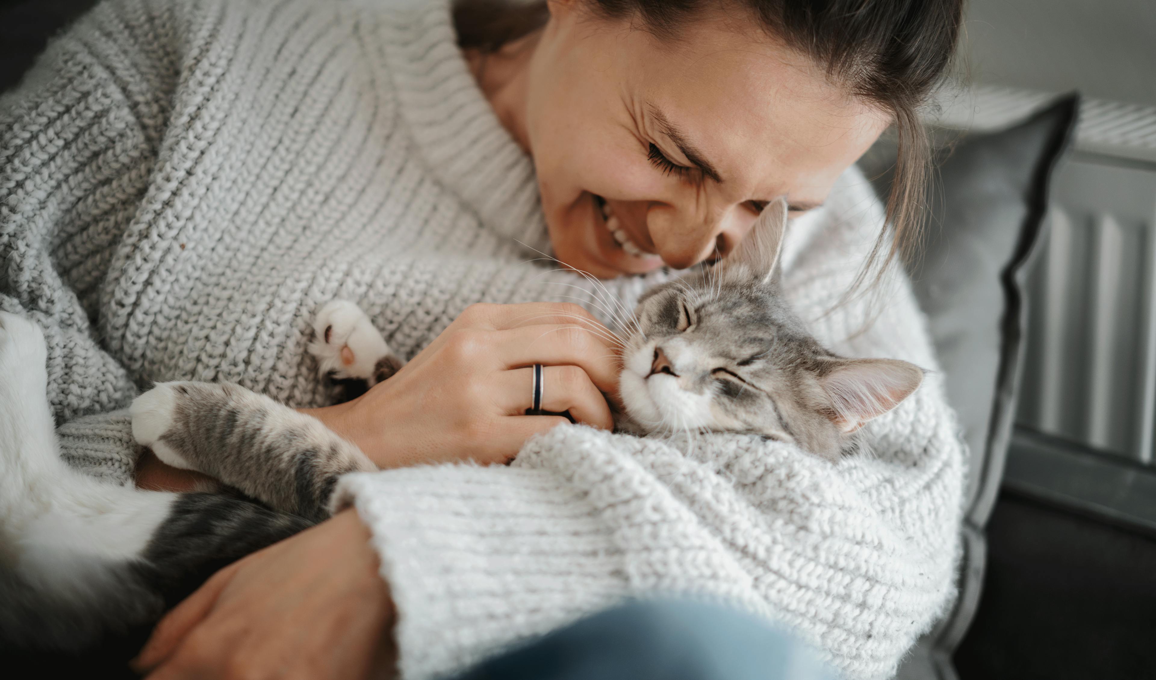 Coryza du chat détecter traiter boiron