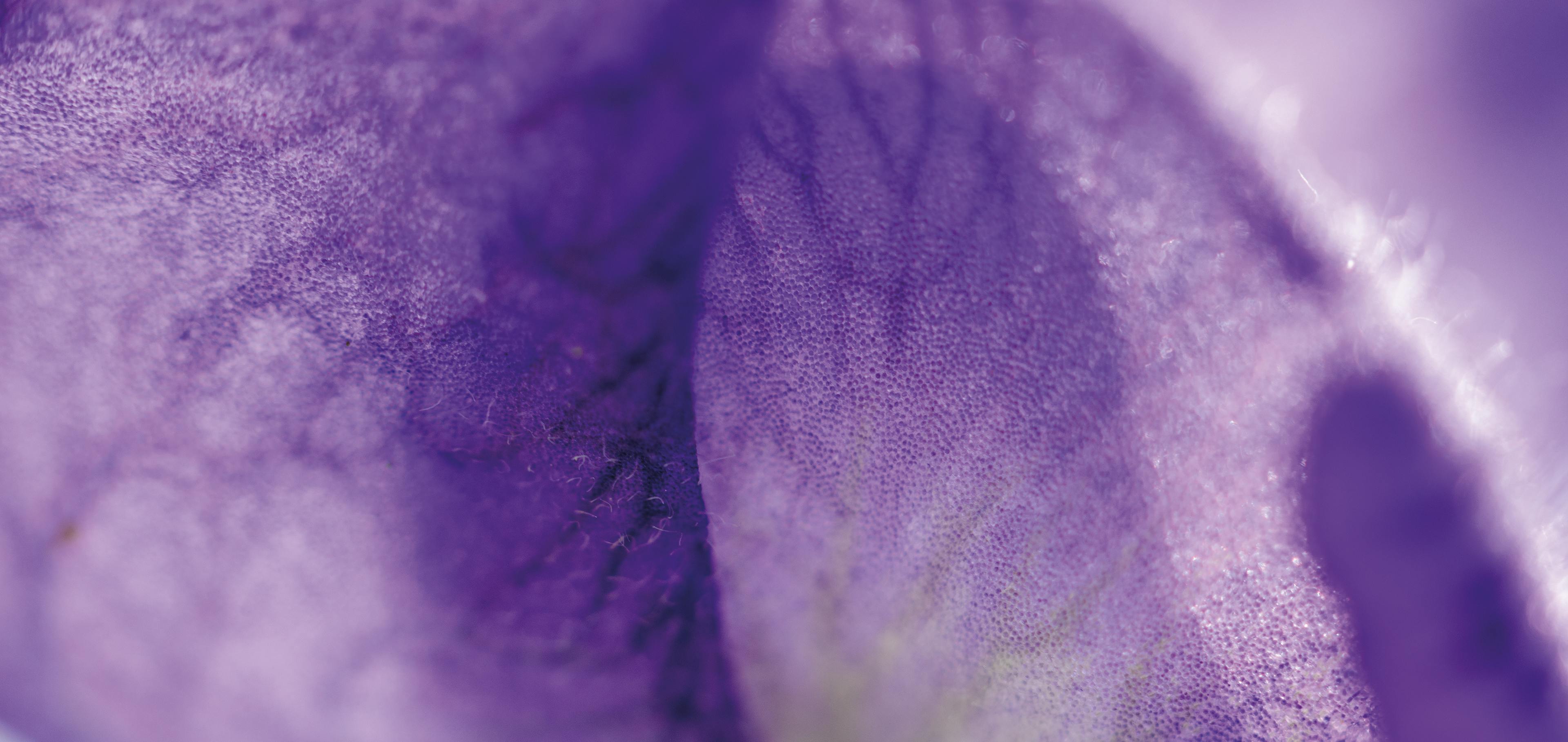 Aconite napel Boiron
