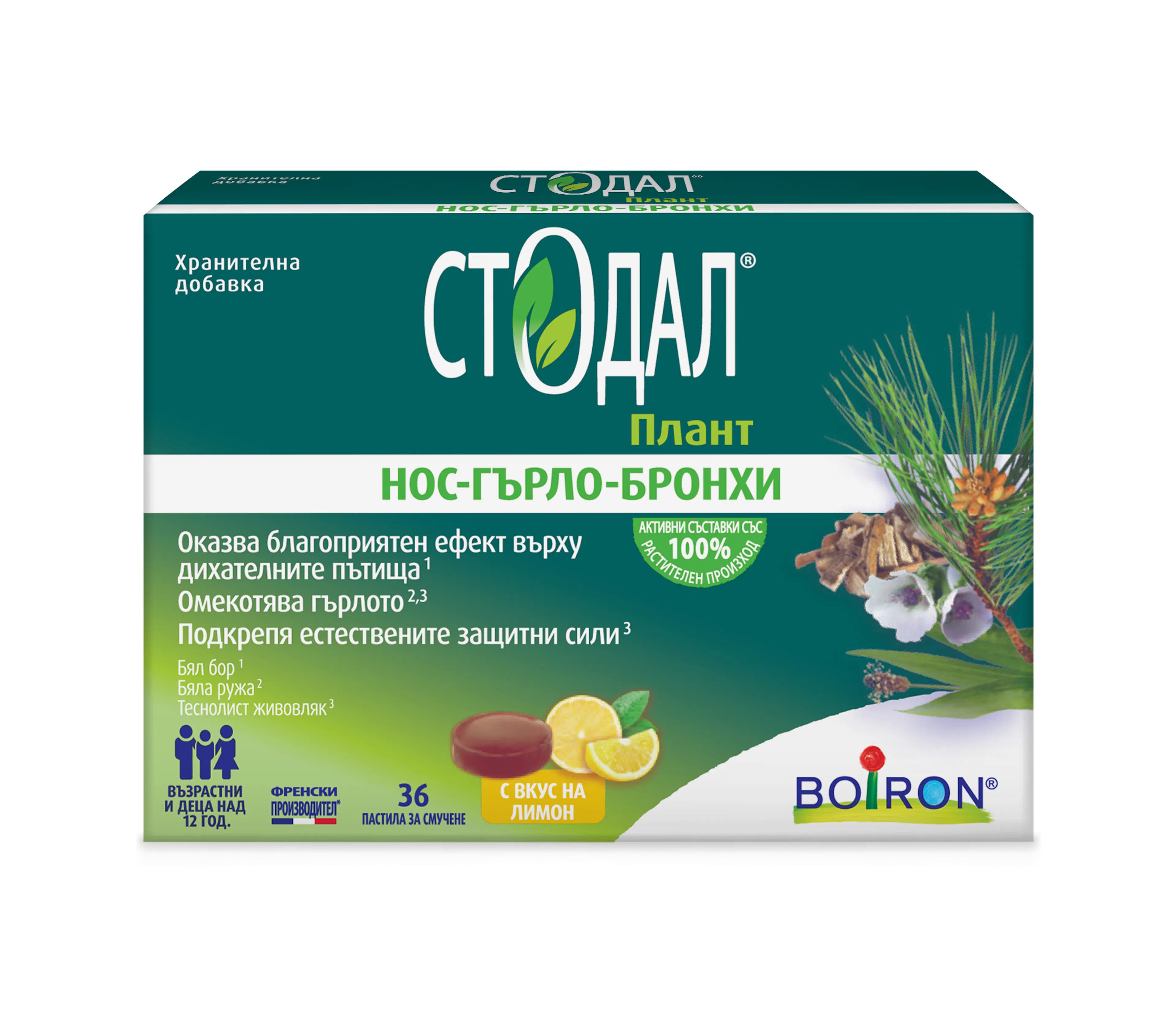 стодал пастили