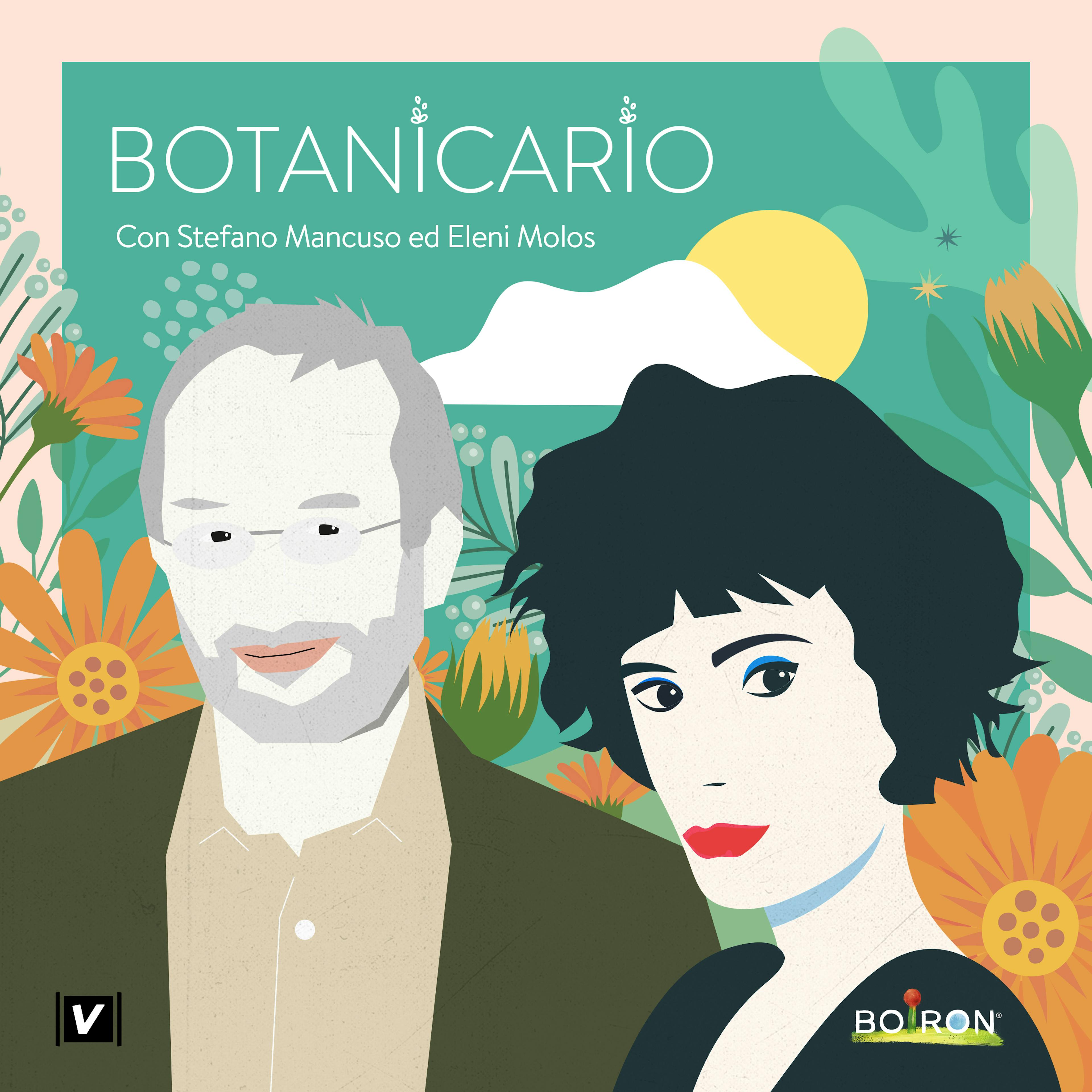 botanicario copertina podcast calendula