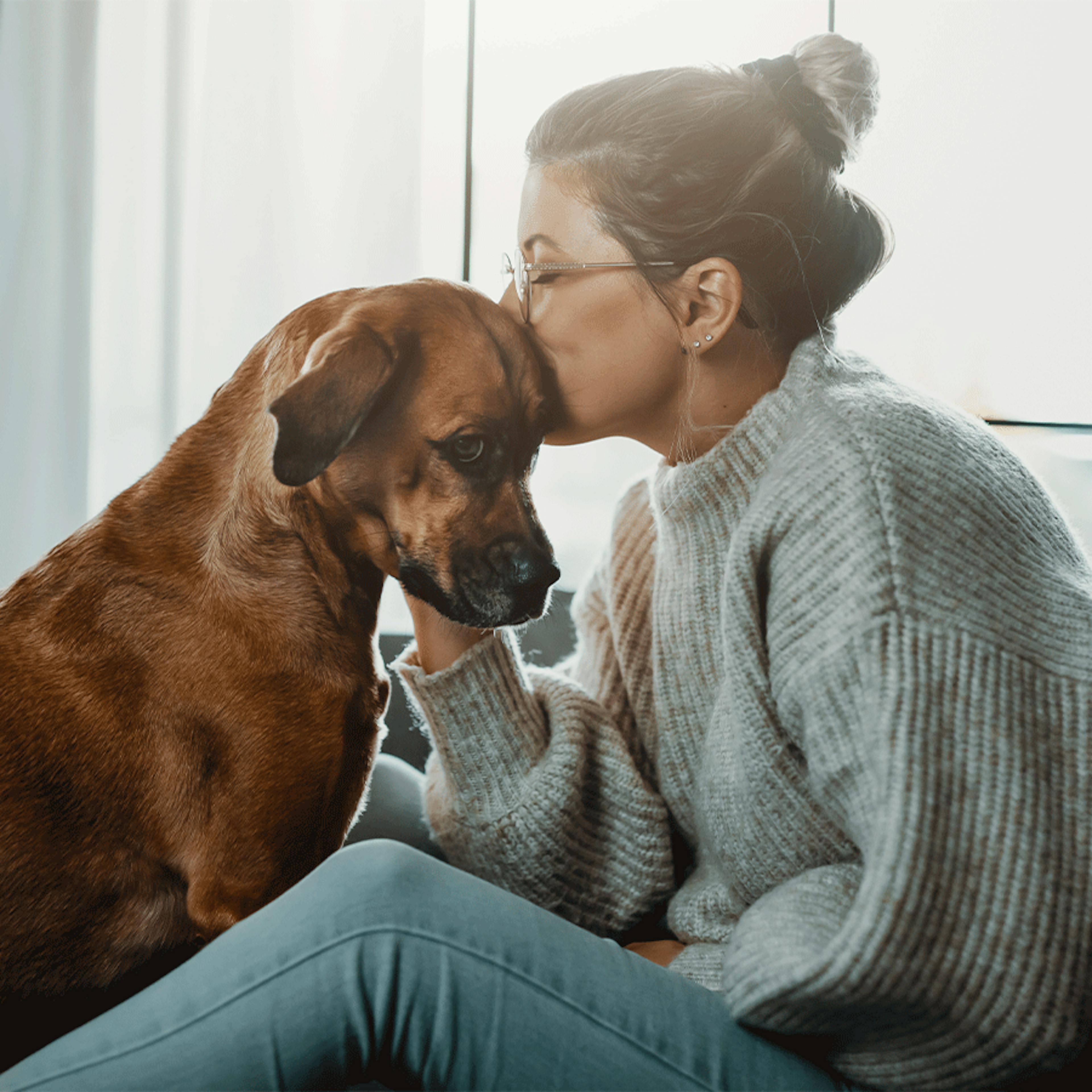 chien toux boiron