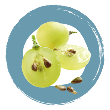 Boiron MagneNIGHT ingrediënten Polyfenolen van druivenpitten