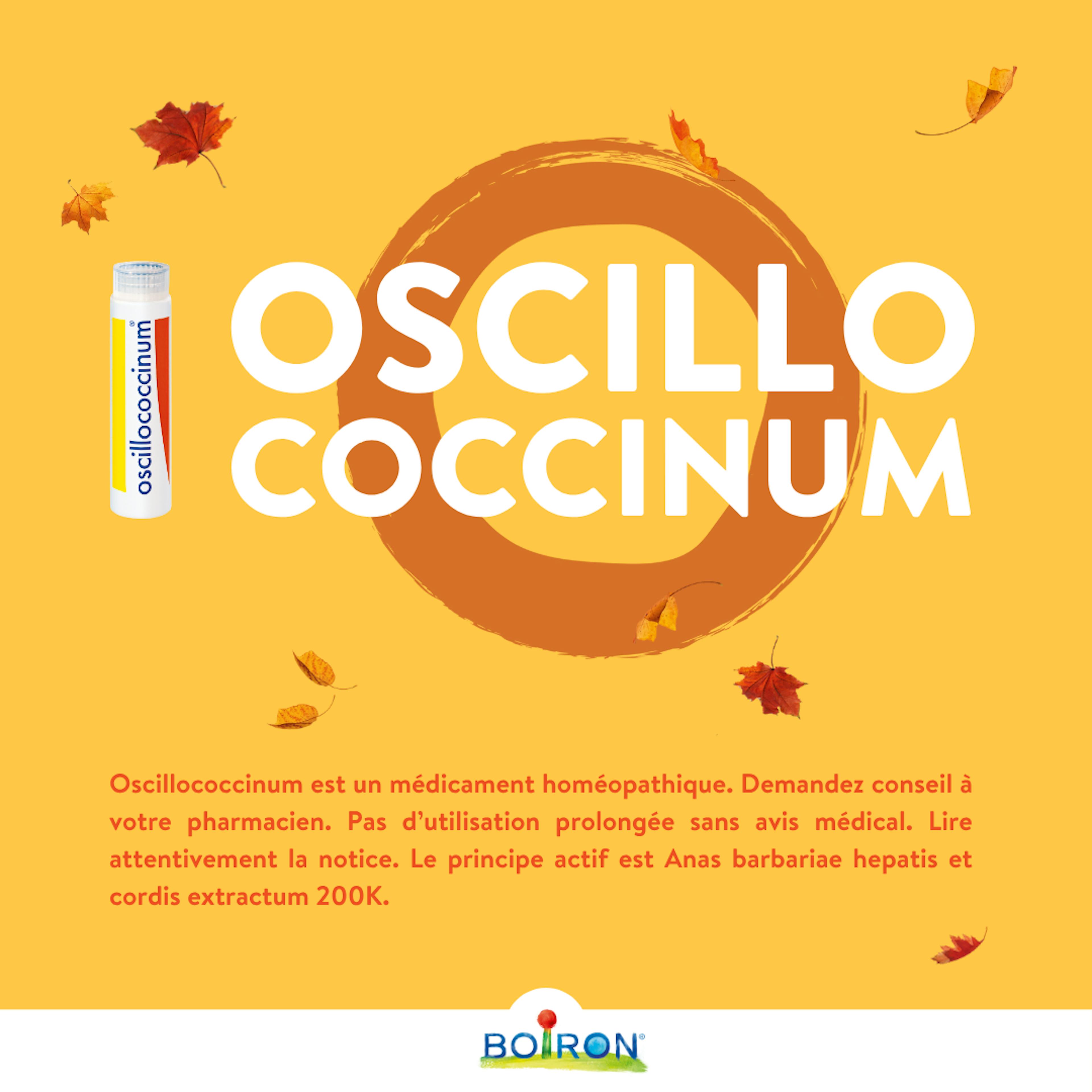 oscillococcinum boiron pour symptomes grippaux fièvre frissons courbatures