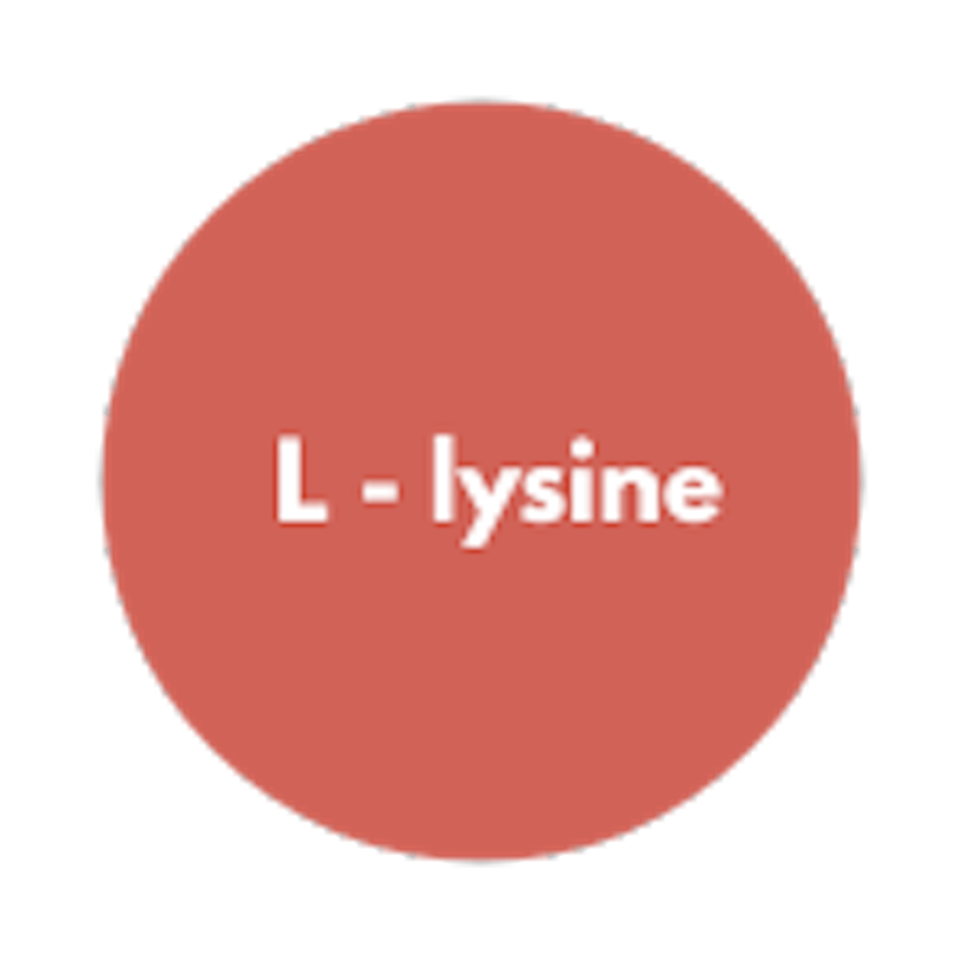 L - lysine