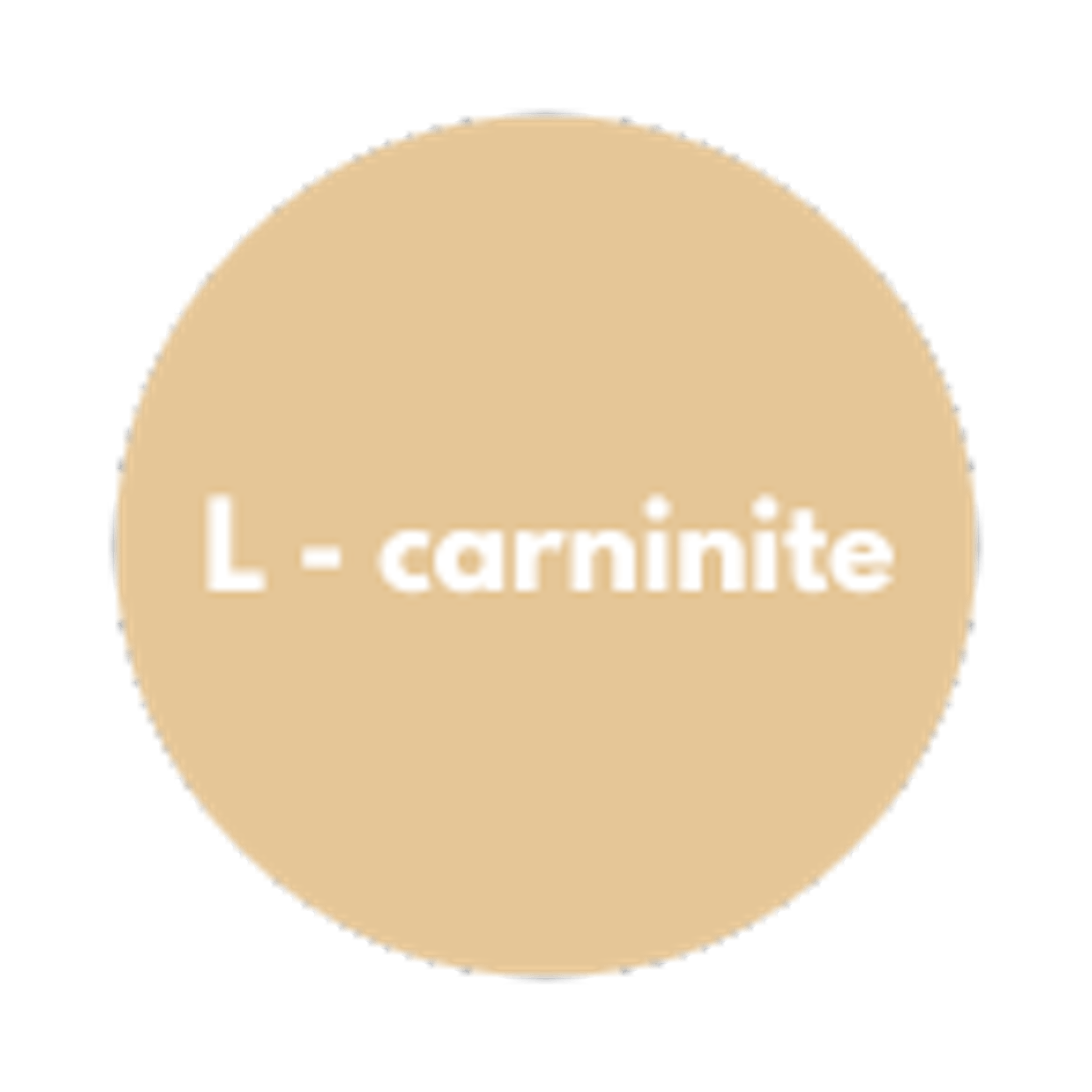 L - carninite