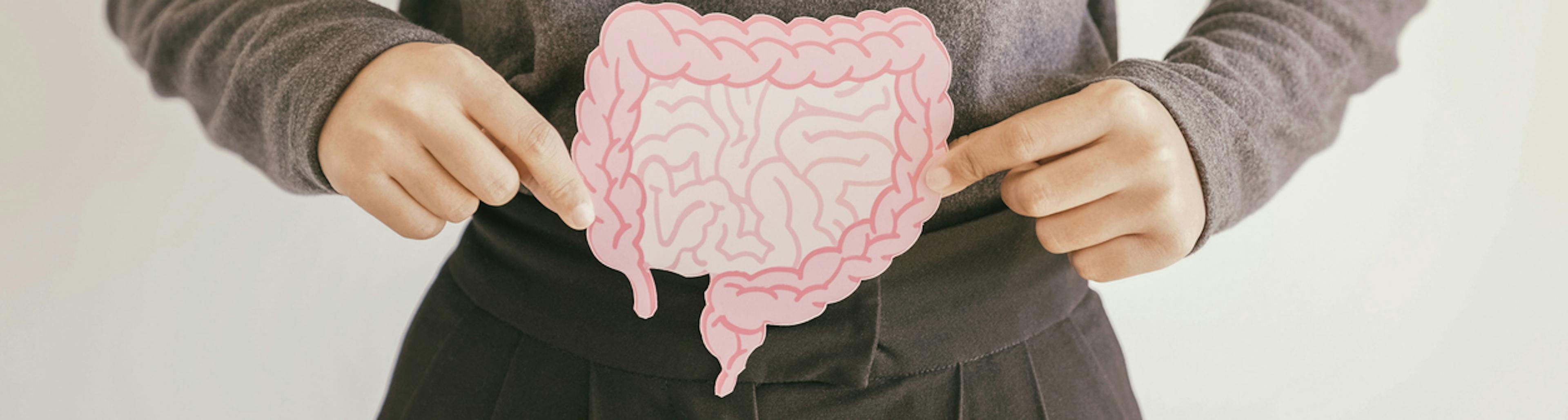 intestino in salute con fermenti lattici e probiotici