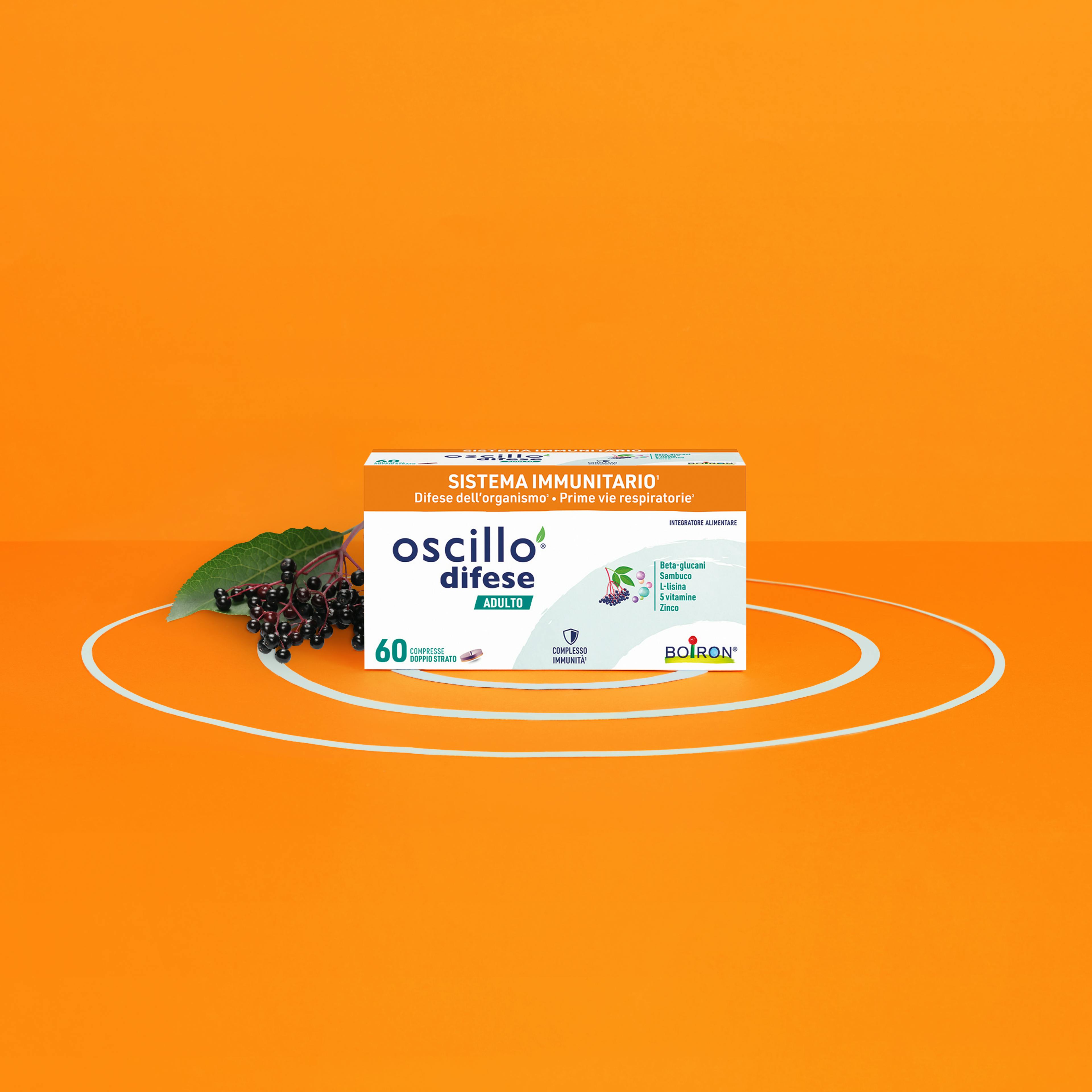 Oscillo difese adulto di fronte
