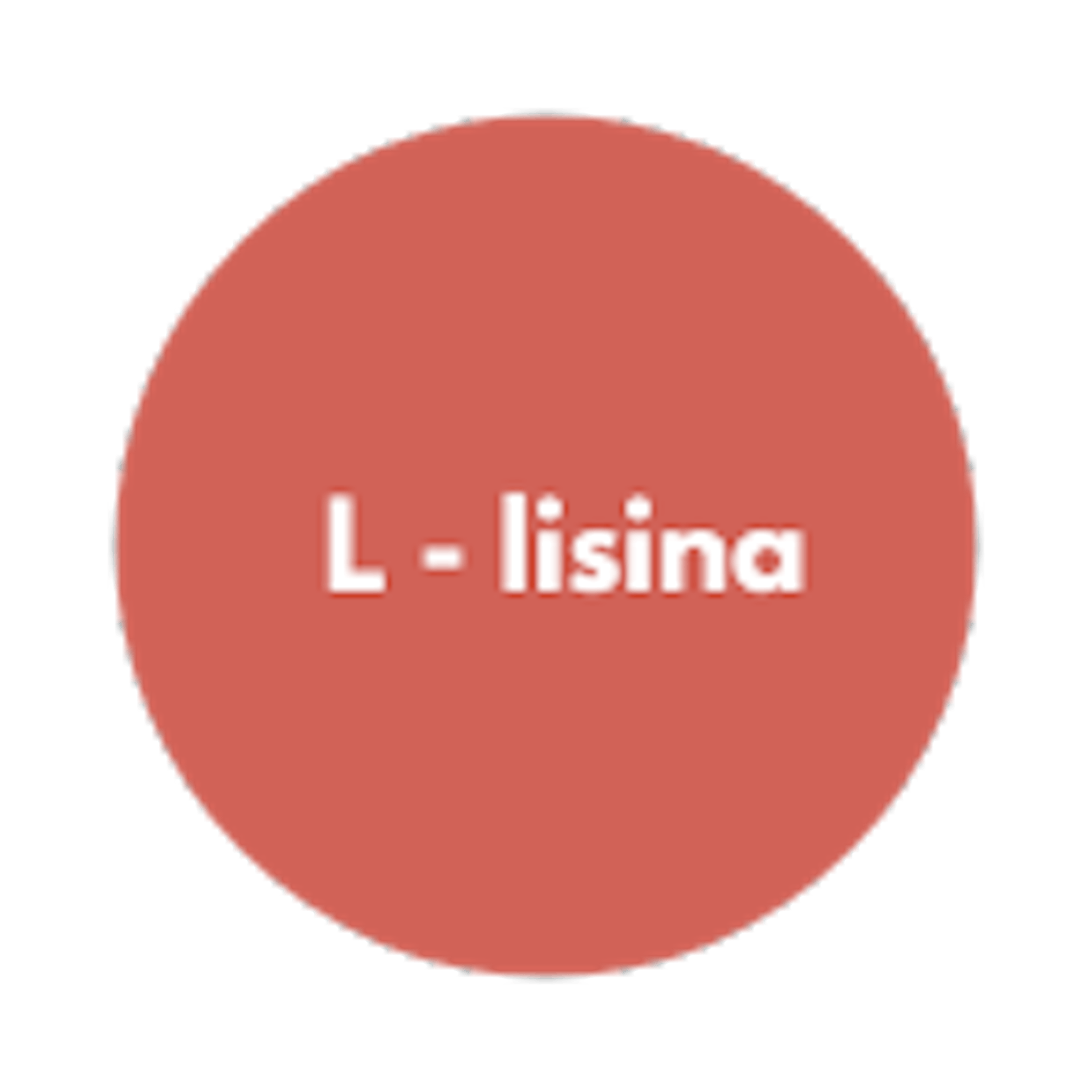 L - lisina