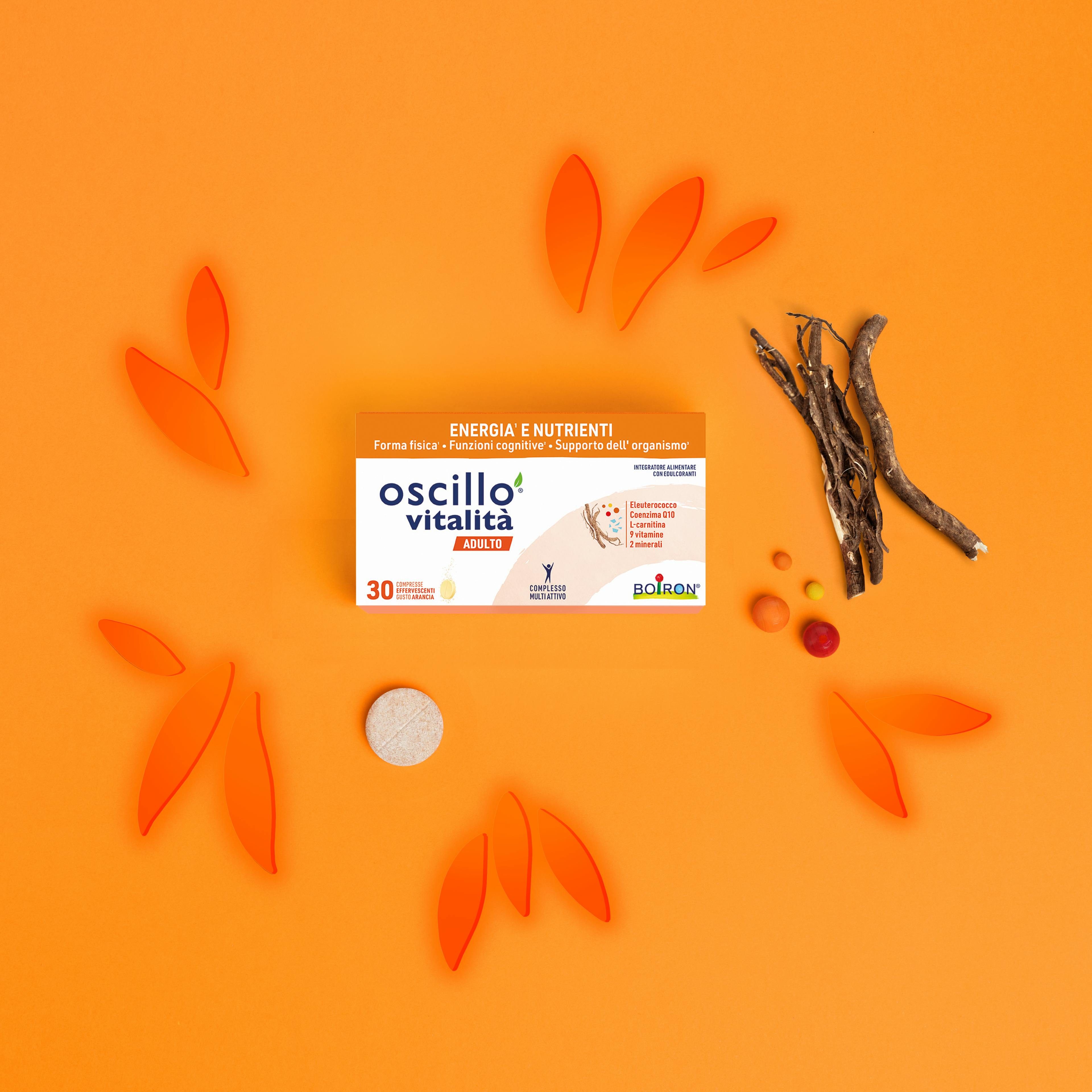 Oscillo vitalità adulto dall'alto