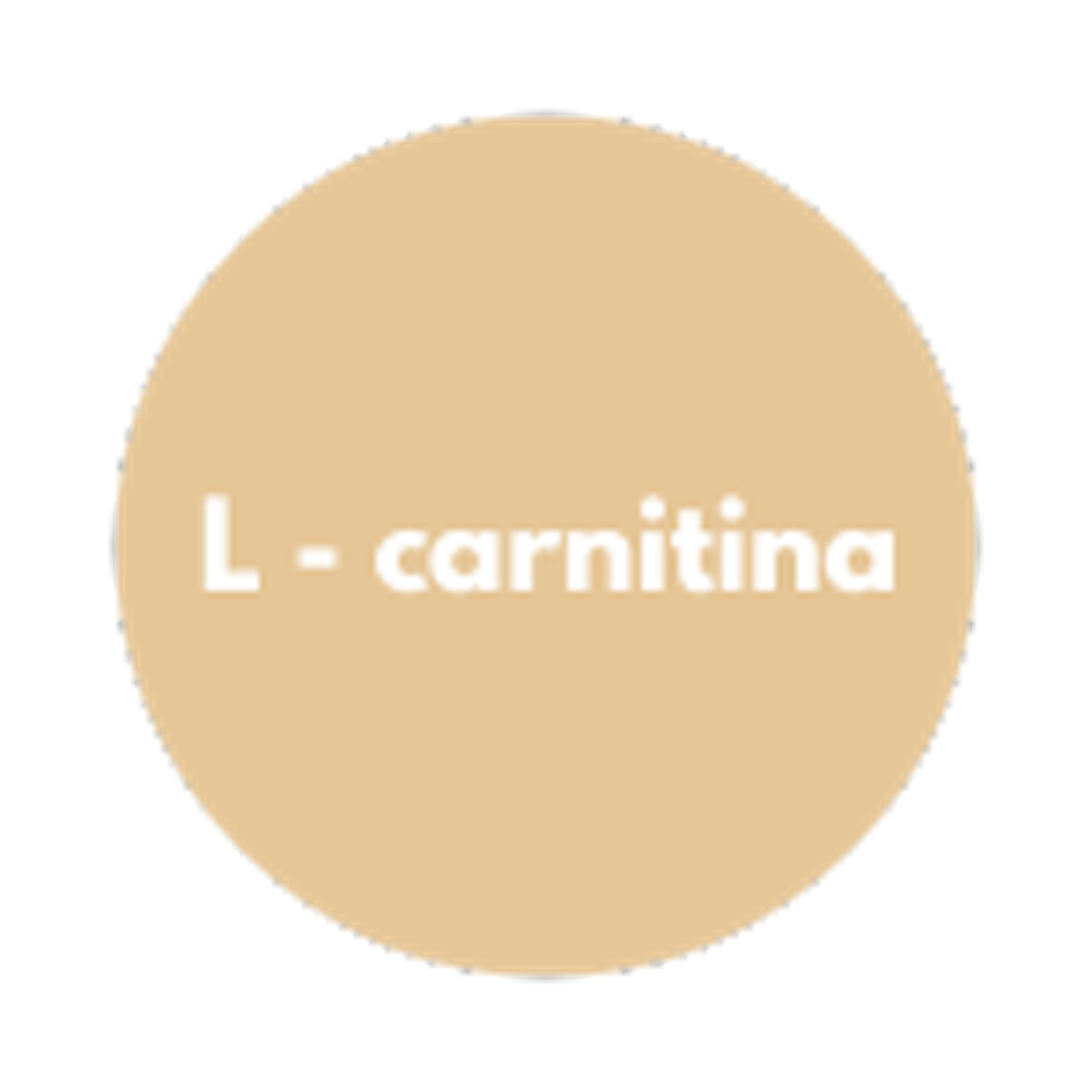 L-carnitina