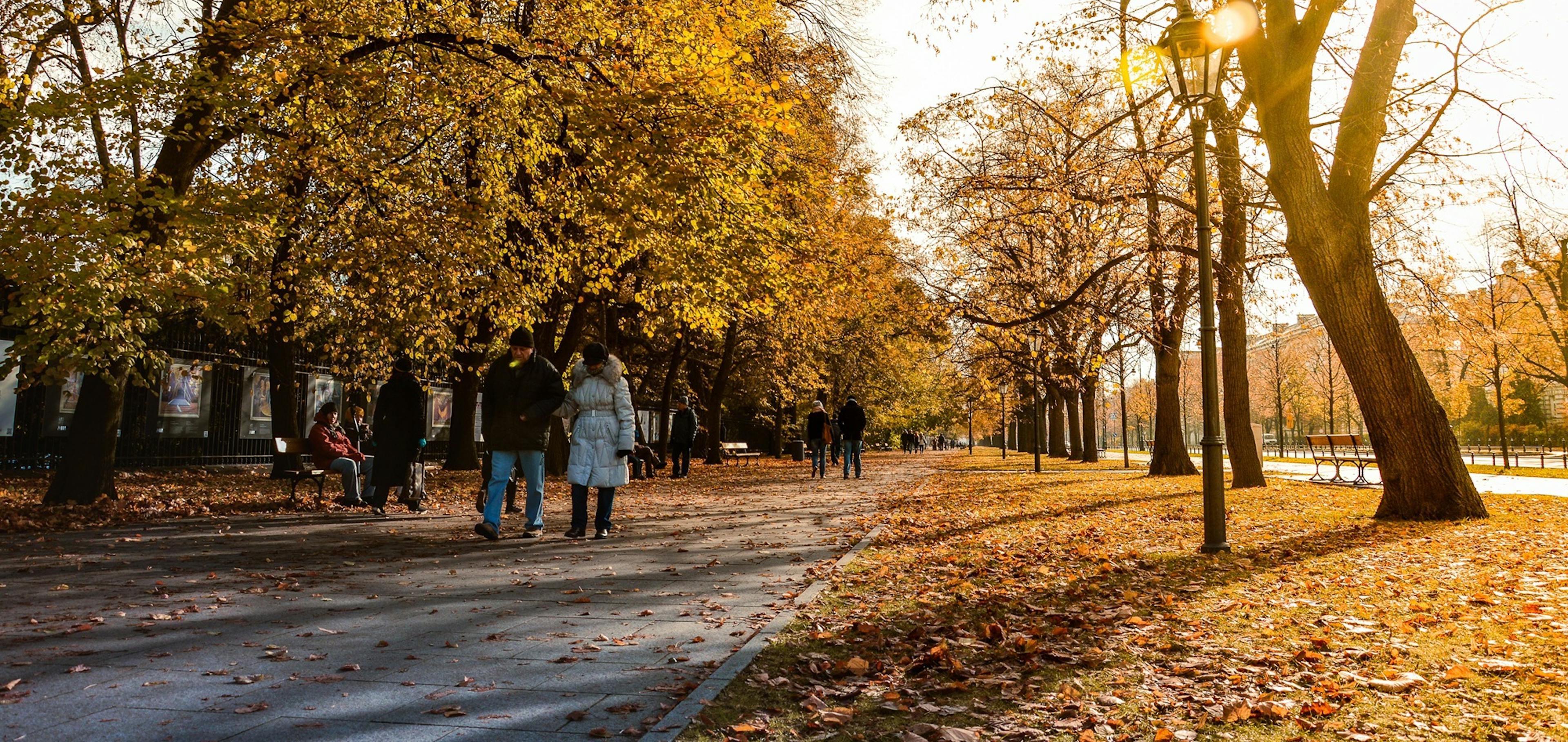 podzim v parku, žluté listí na stromech a slunce, lidé na procházce