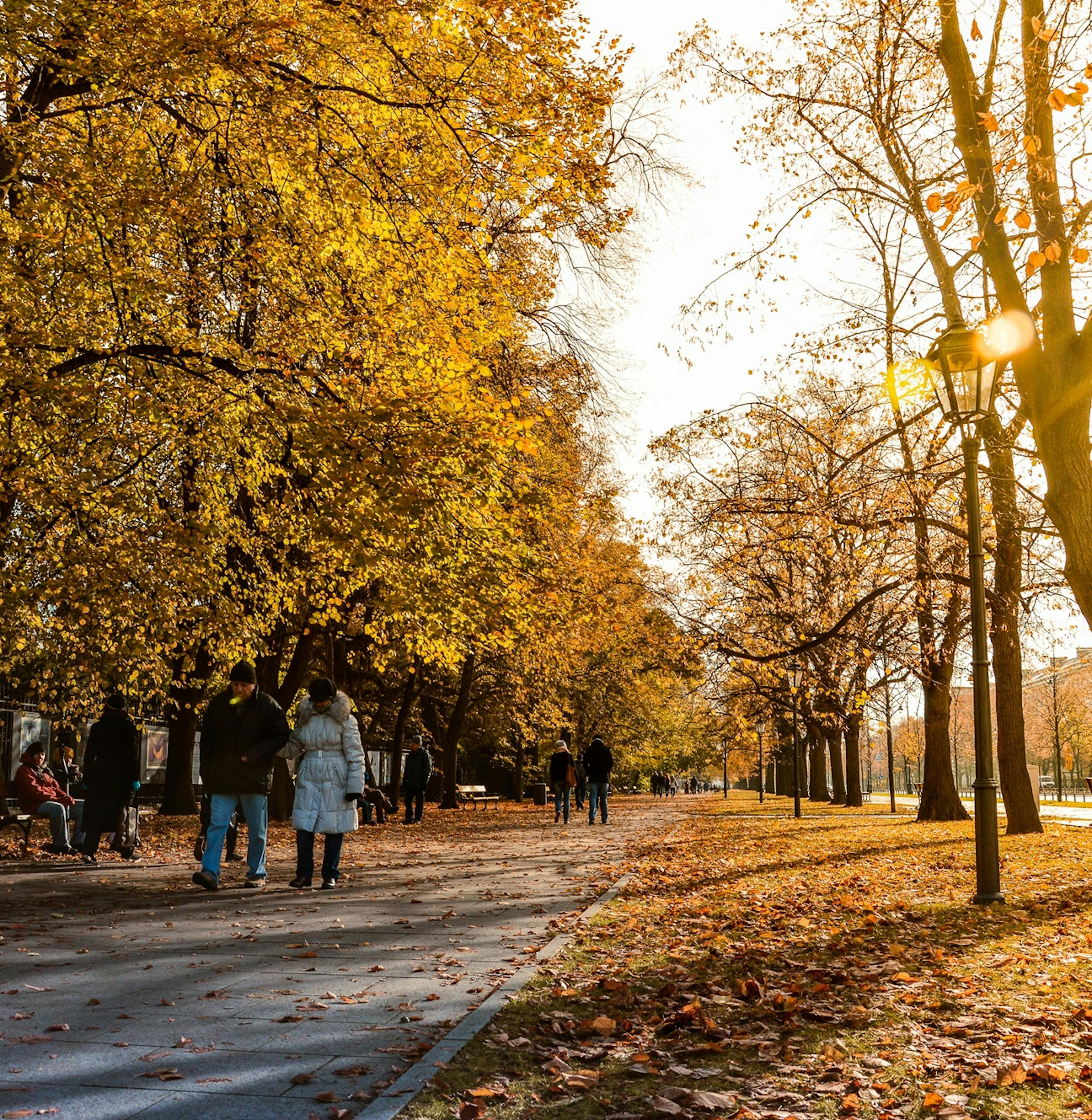 podzim v parku, žluté listí na stromech a slunce, lidé na procházce