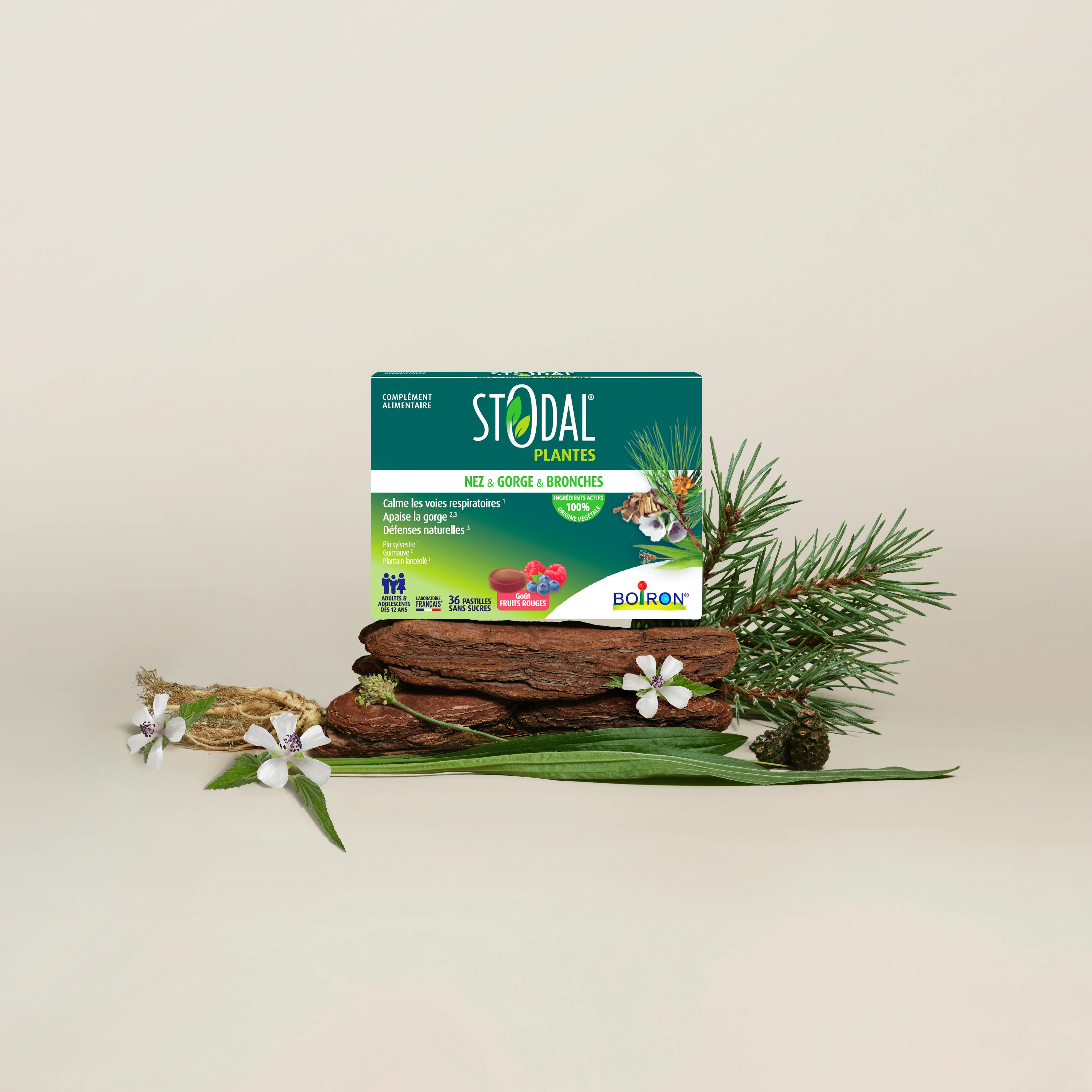 Stodal Pastilles Fruits Rouges