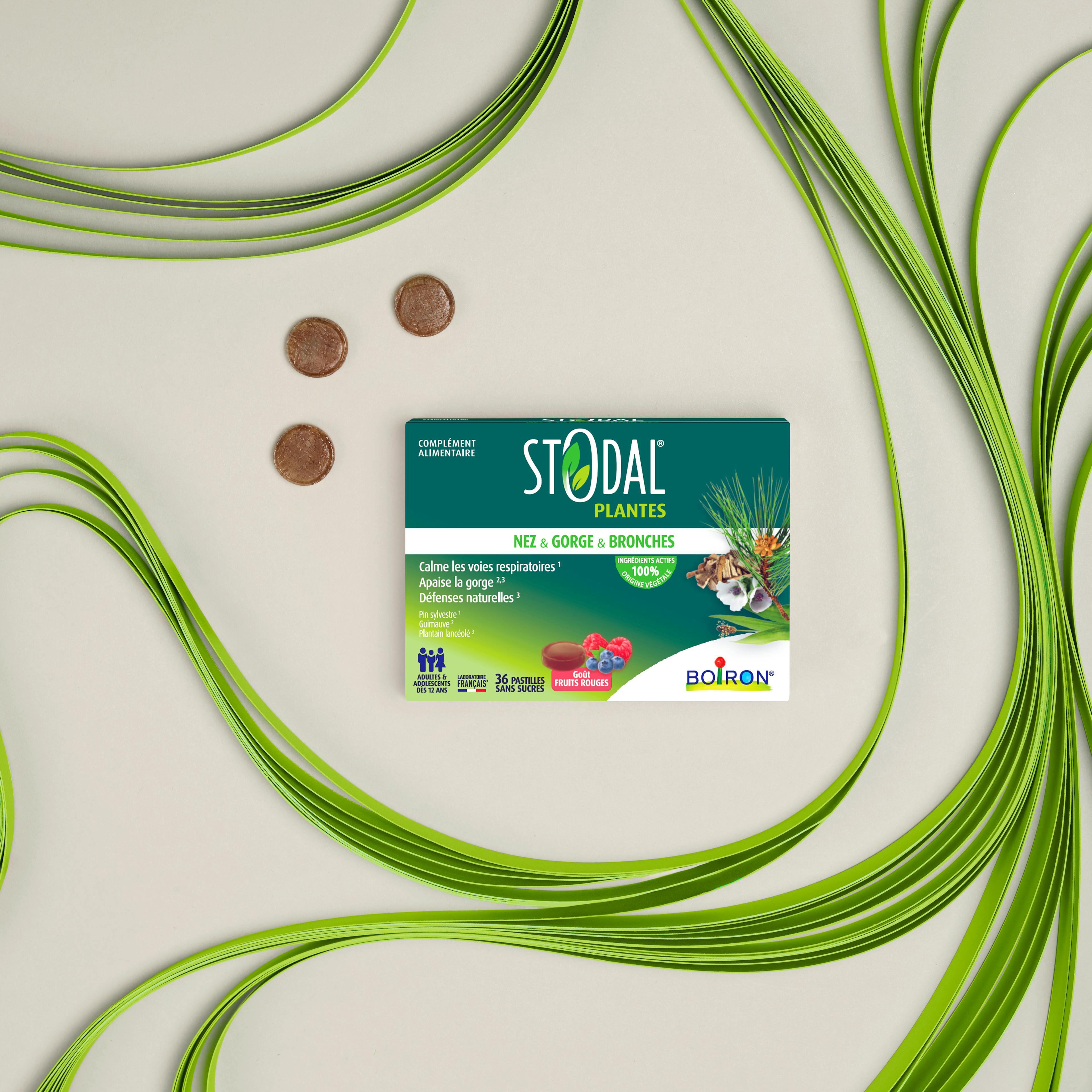 Stodal Pastilles fruits rouges