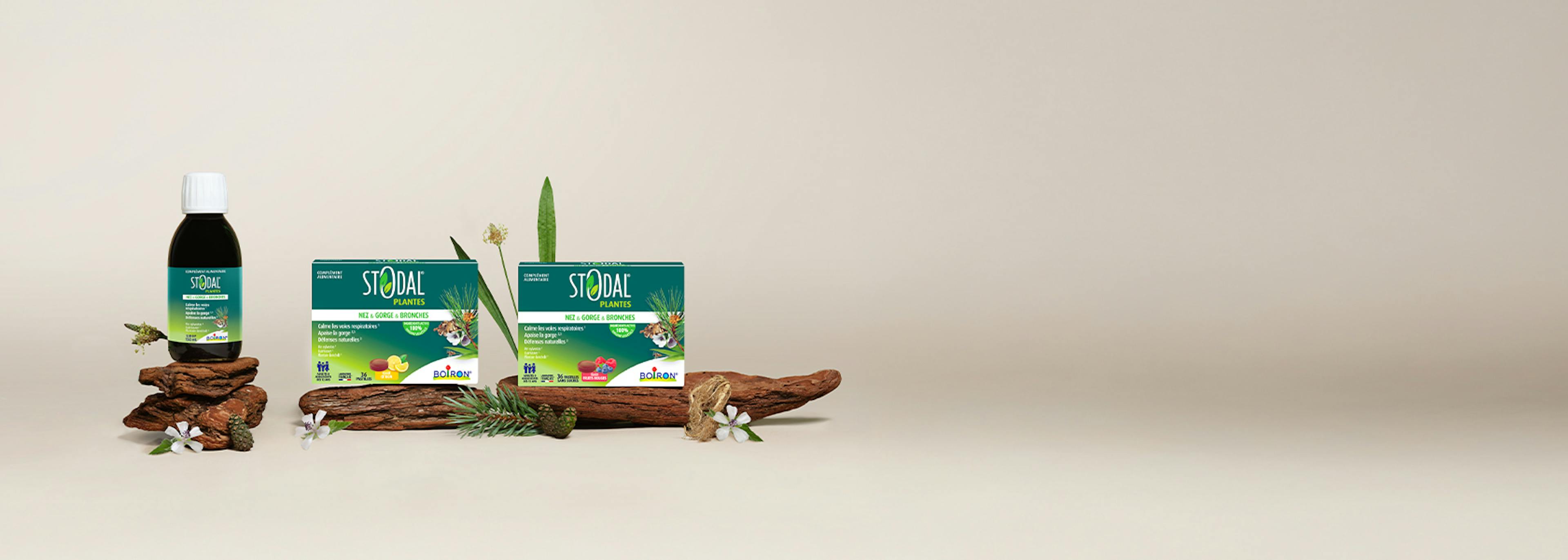 Gamme stodal plantes