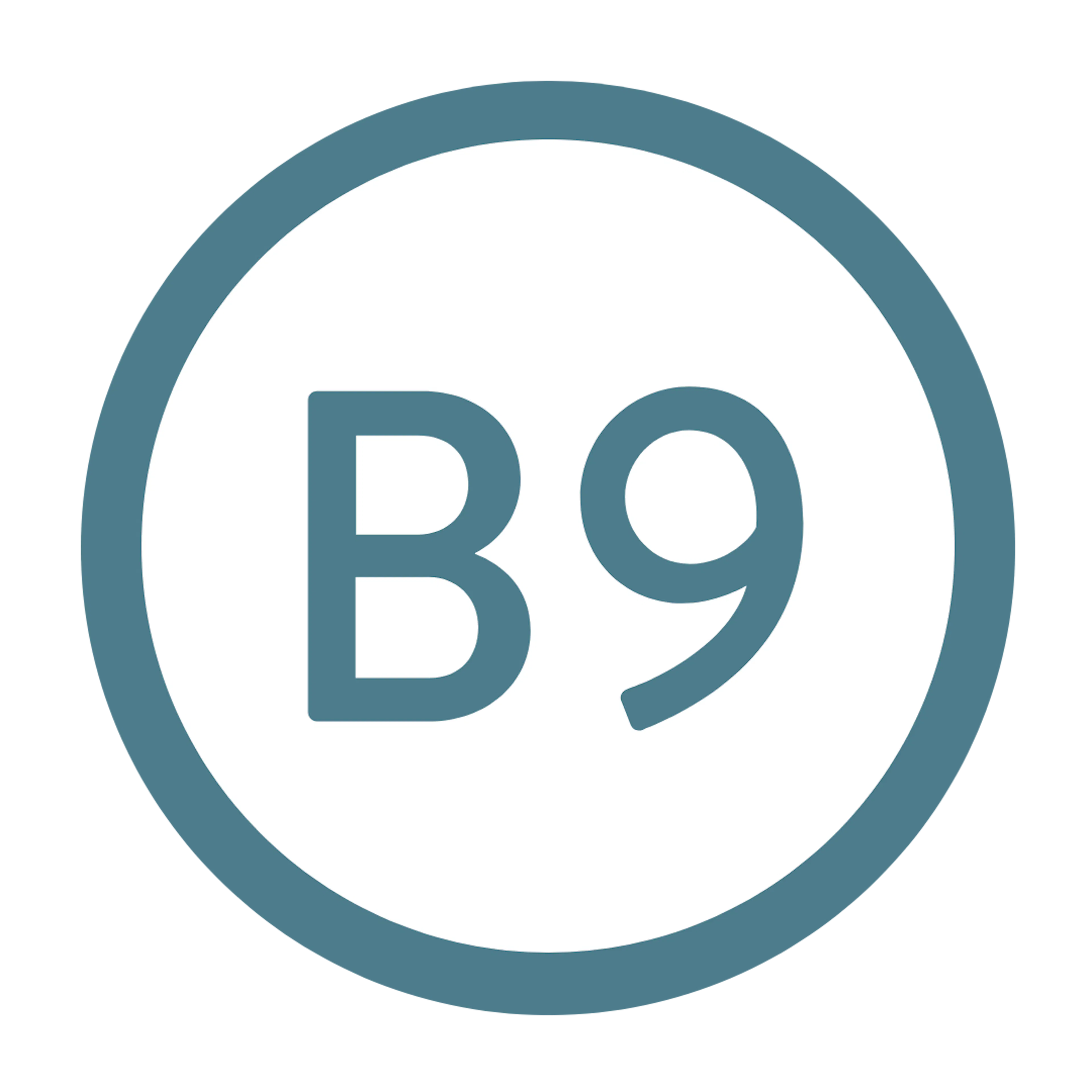 Boiron B-fer ingrédients Acide folique B9