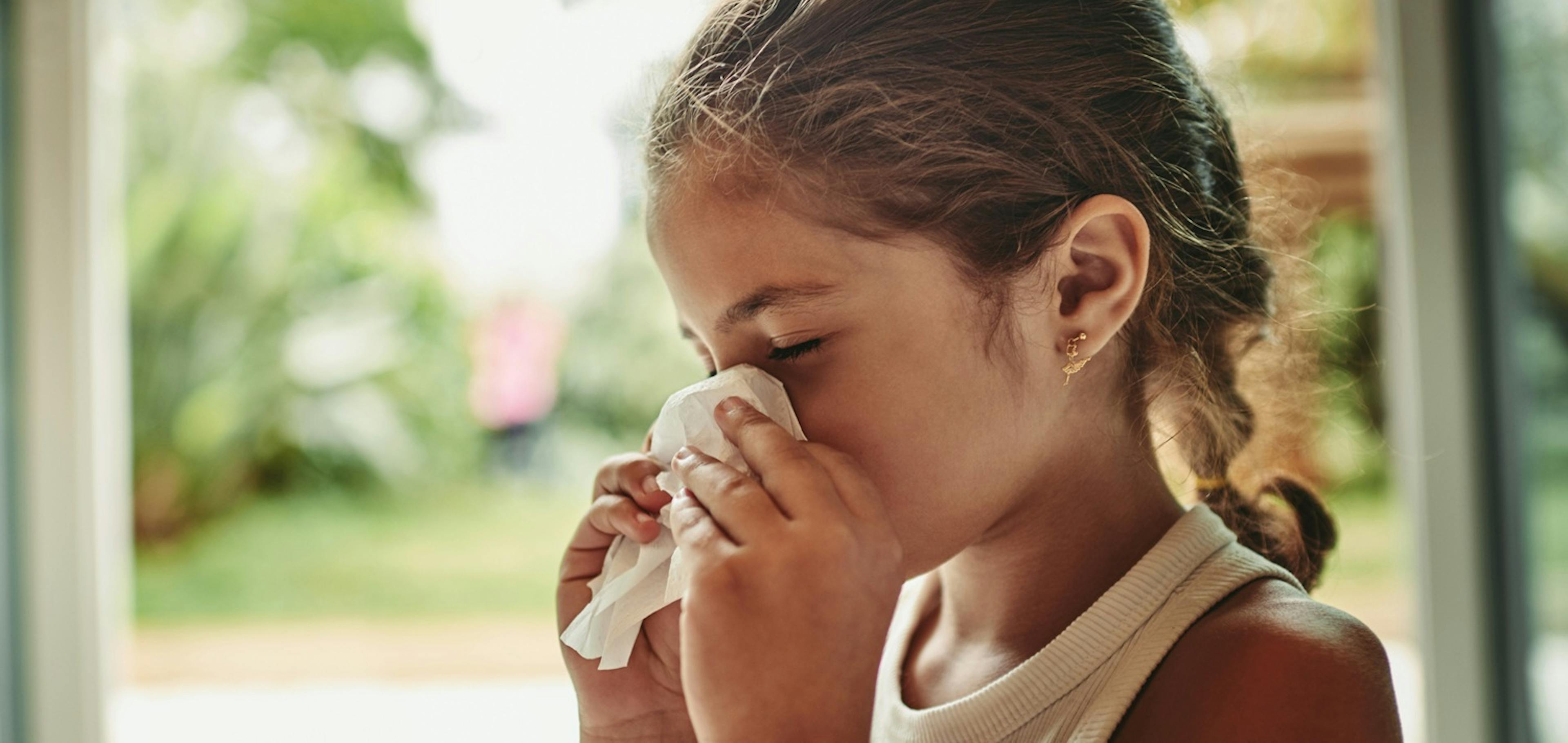 pylová alergie, dívka s kapesníkem, smrká, v pozadí otevřené okno, stromy