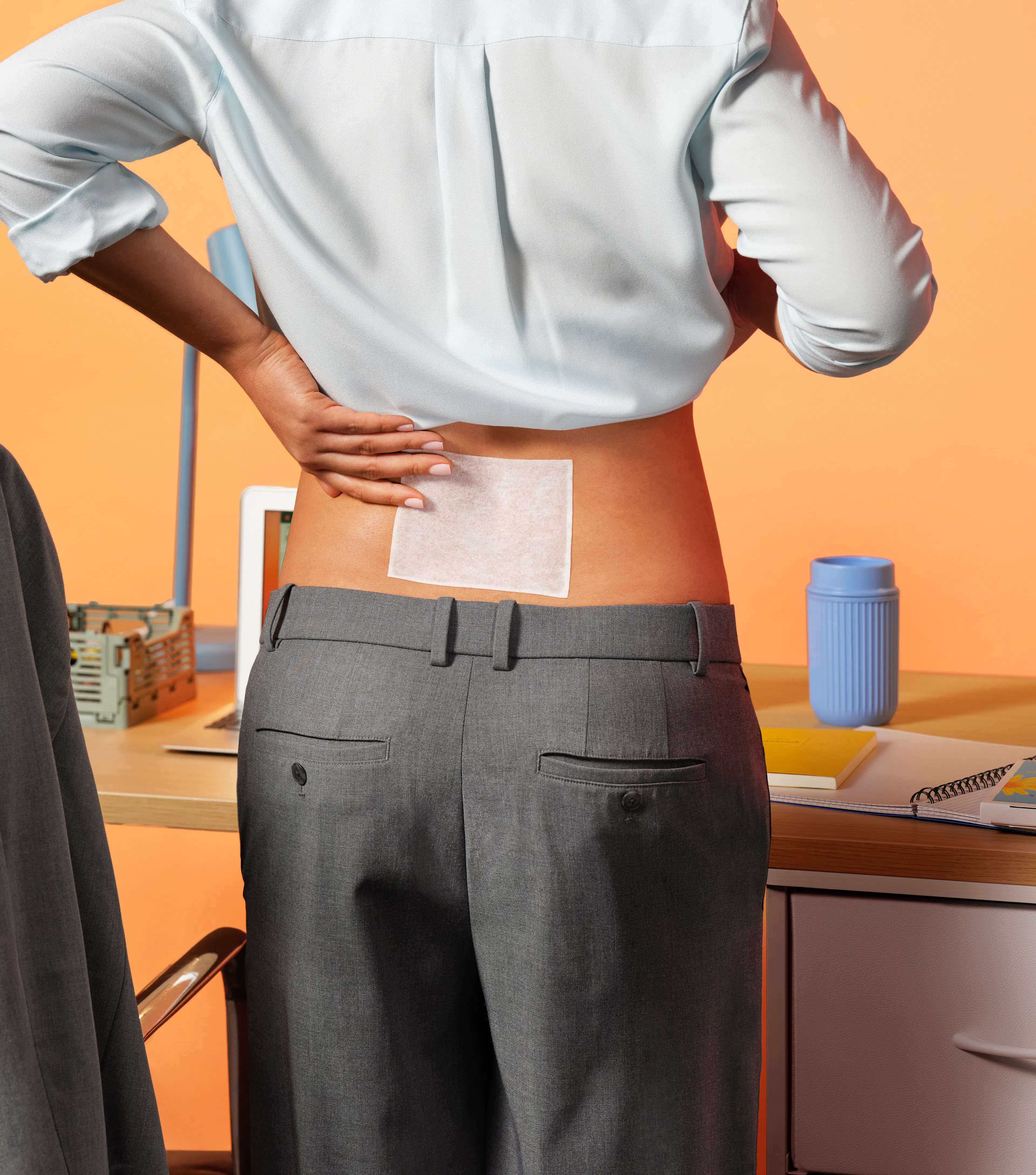 Arnipatch usage bureau