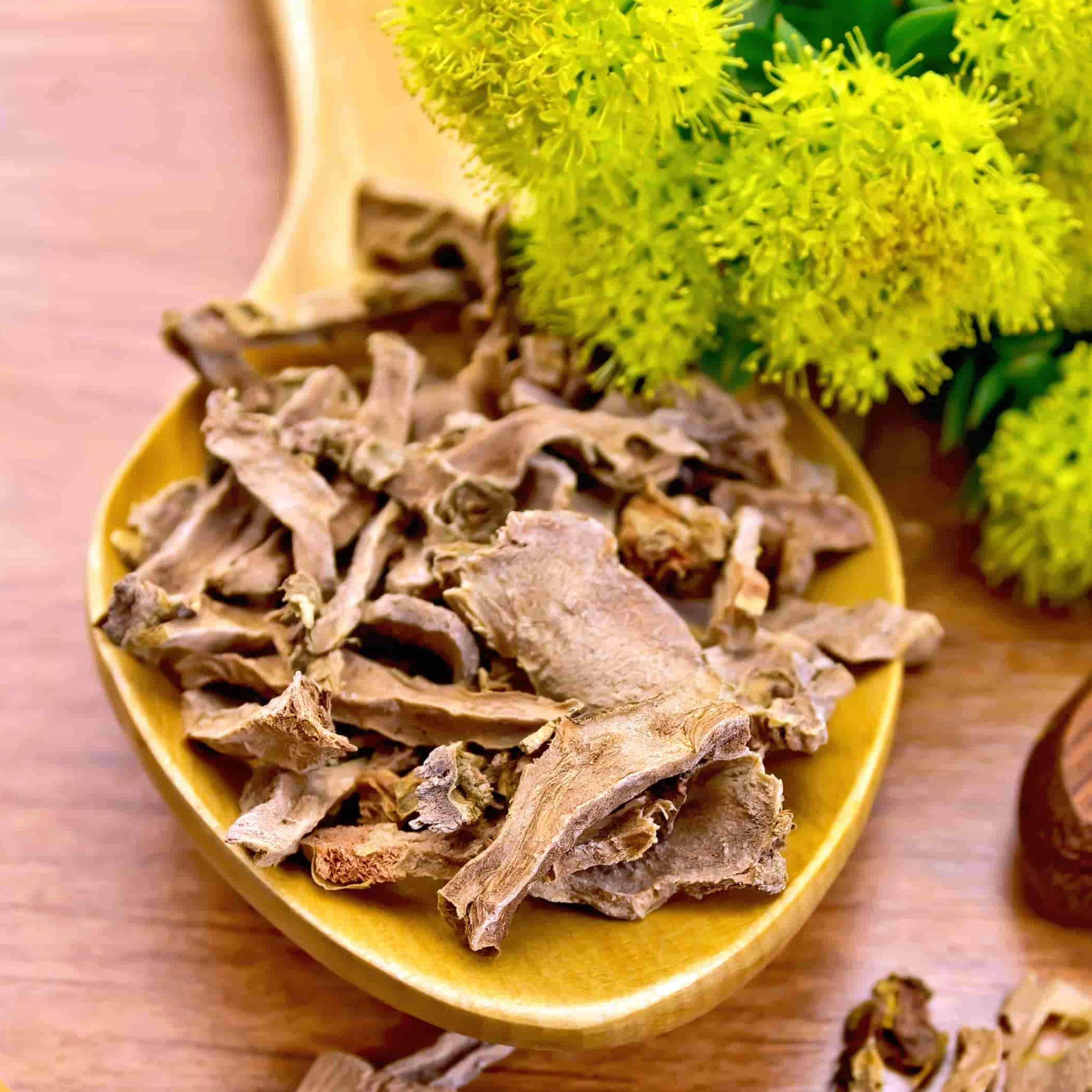Plantenextracten voor een positief effect op de mentale gezondheid