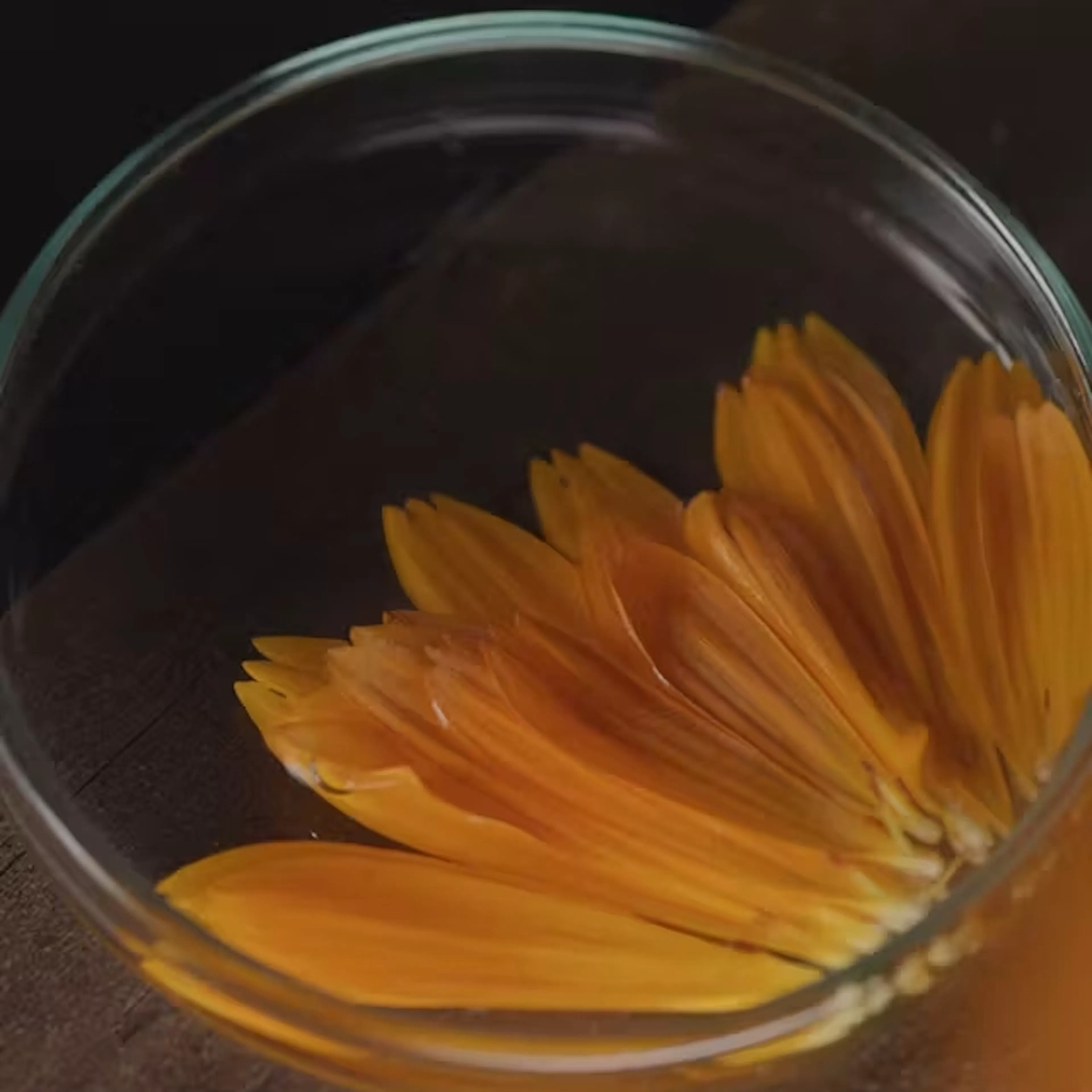 calendula bloem ook wel goudsbloem genoemd