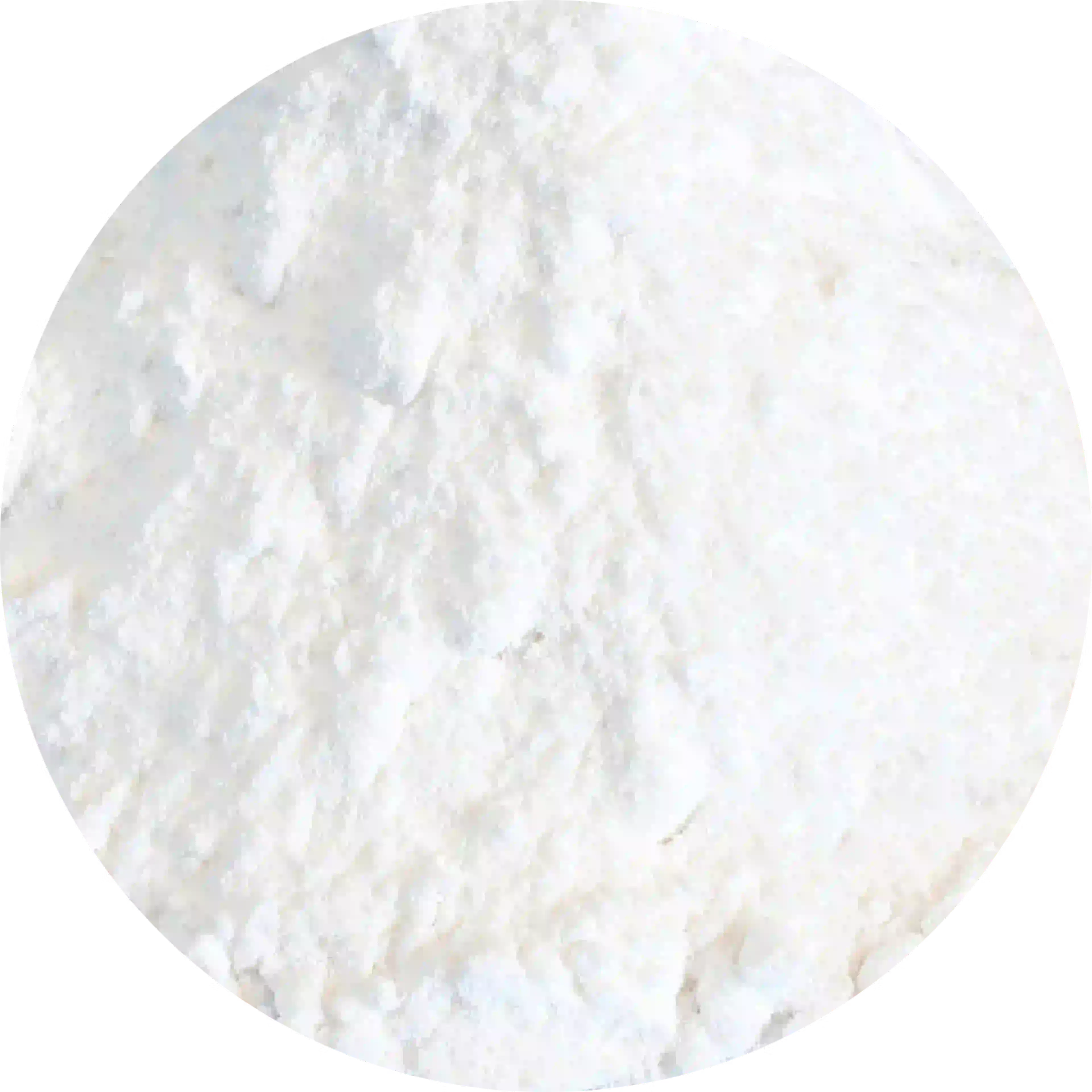composant actif homeoplasmine acidum boricum