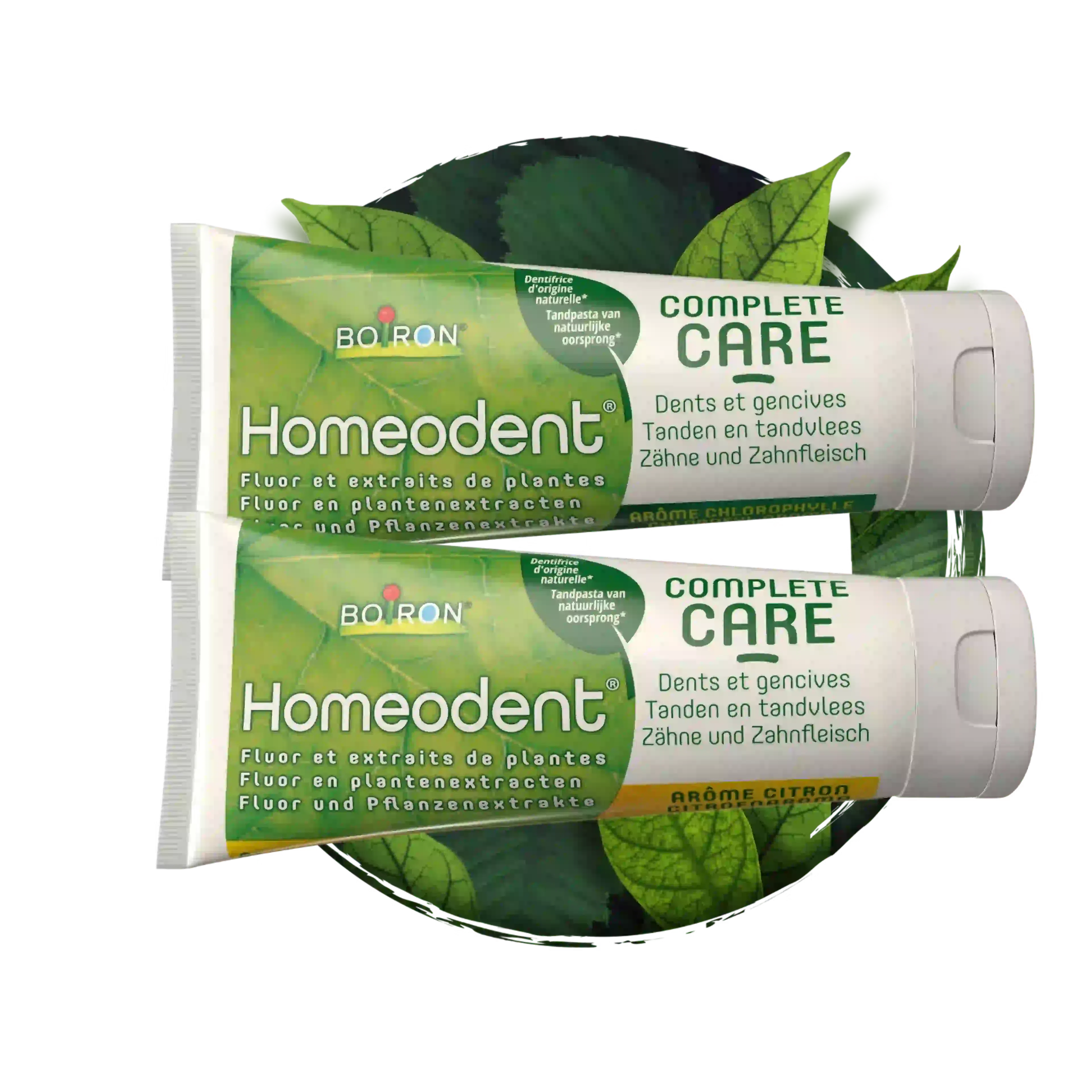 Homéodent dentifrice soin complet