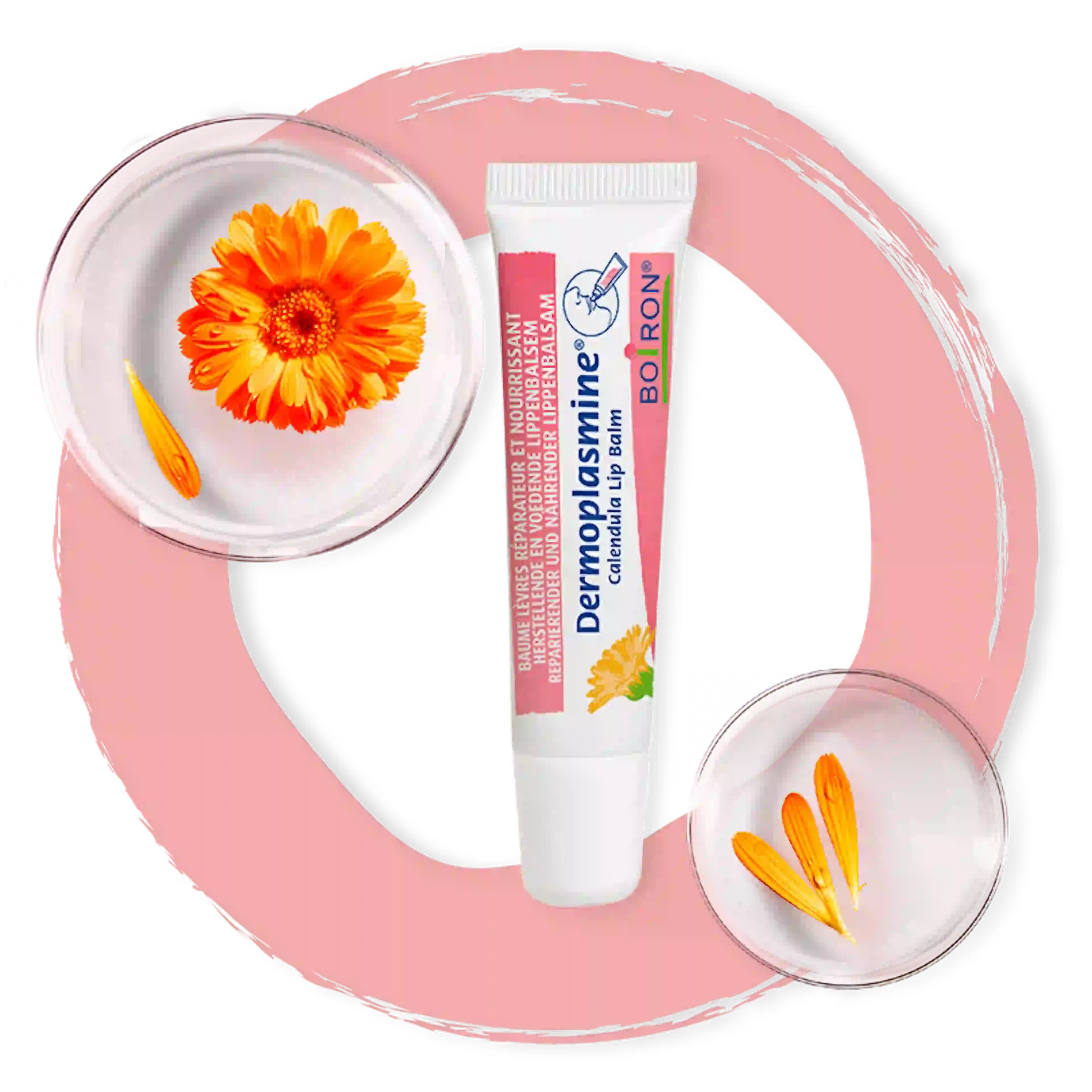 Dermoplasmine Lip Balm met Calendula