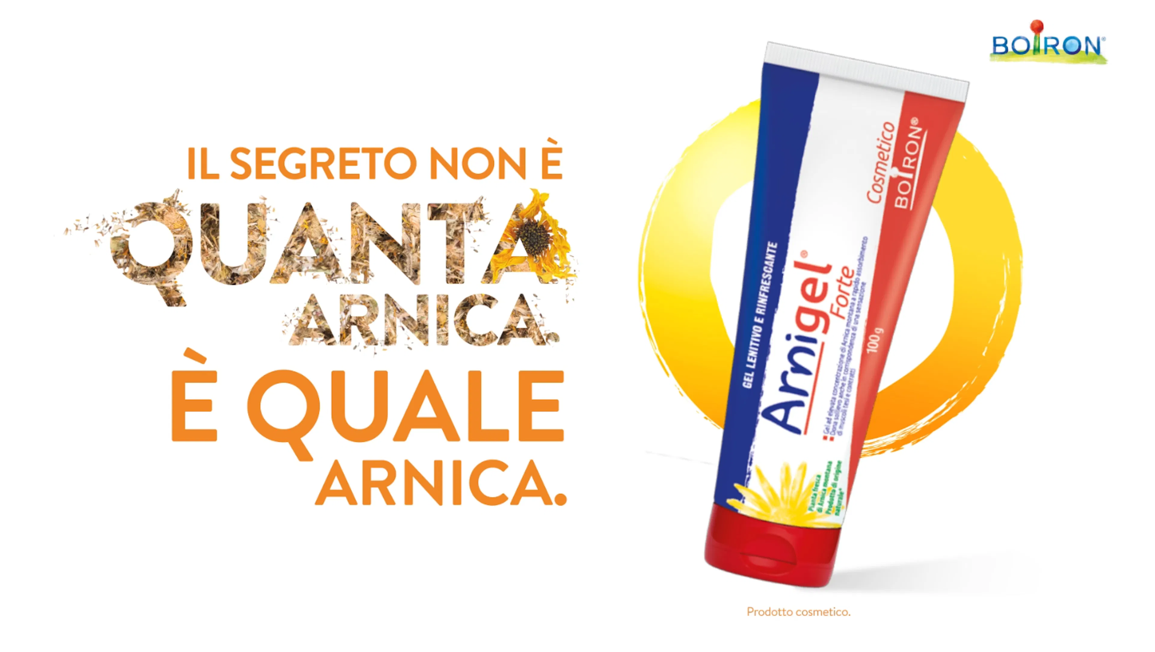 La qualità dell'arnica