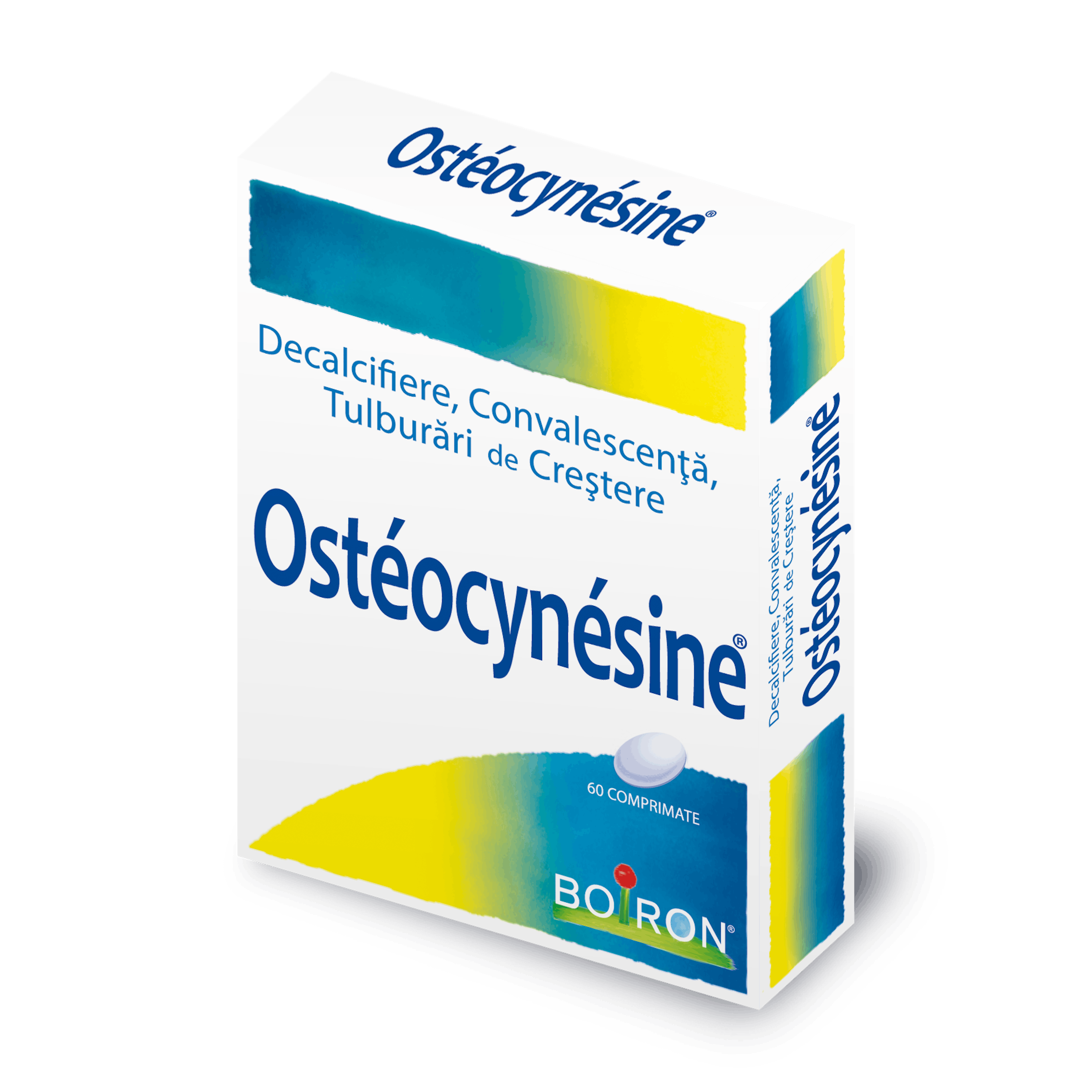 Osteocynesine