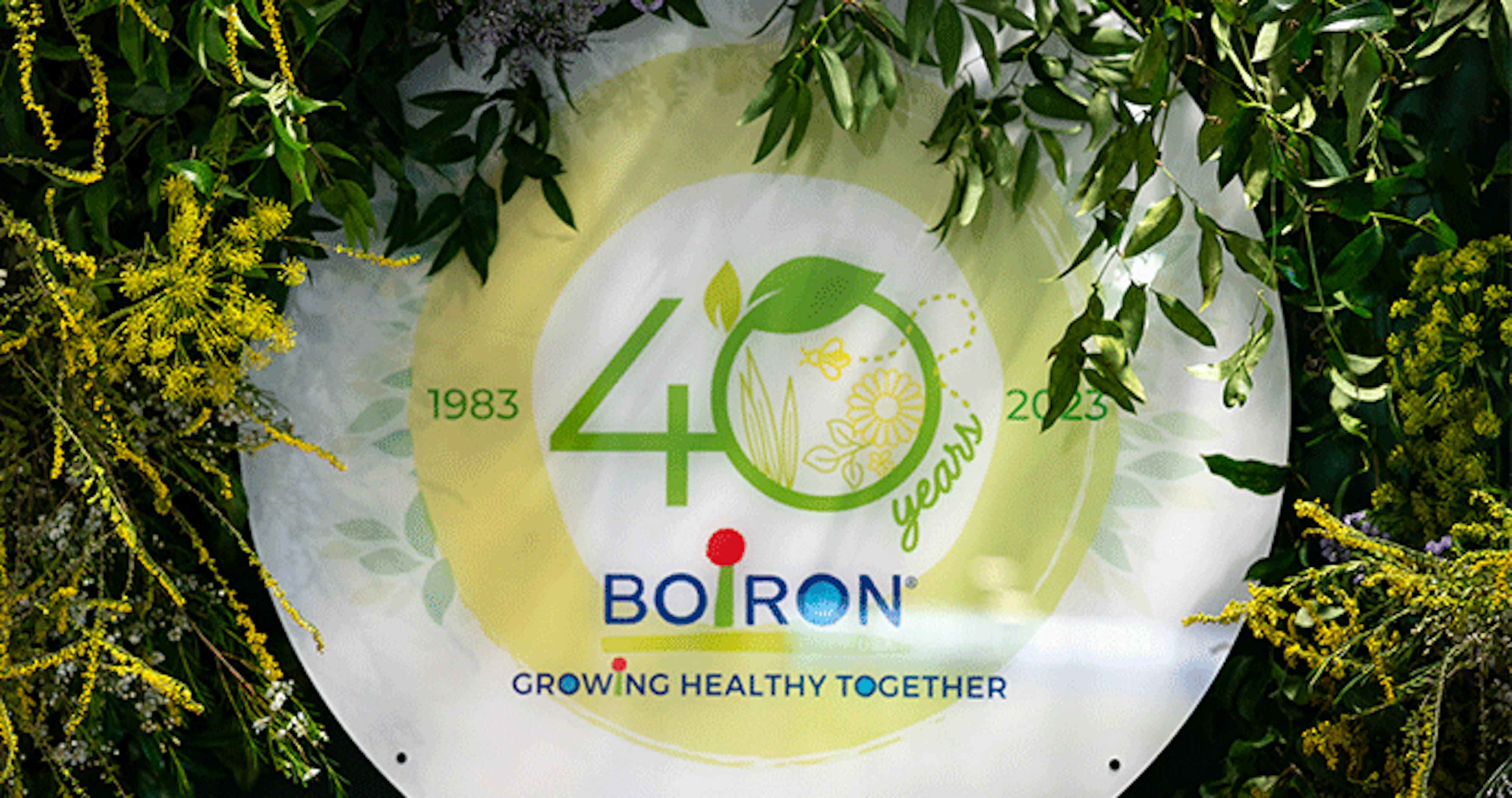 boiron usa 40 ans