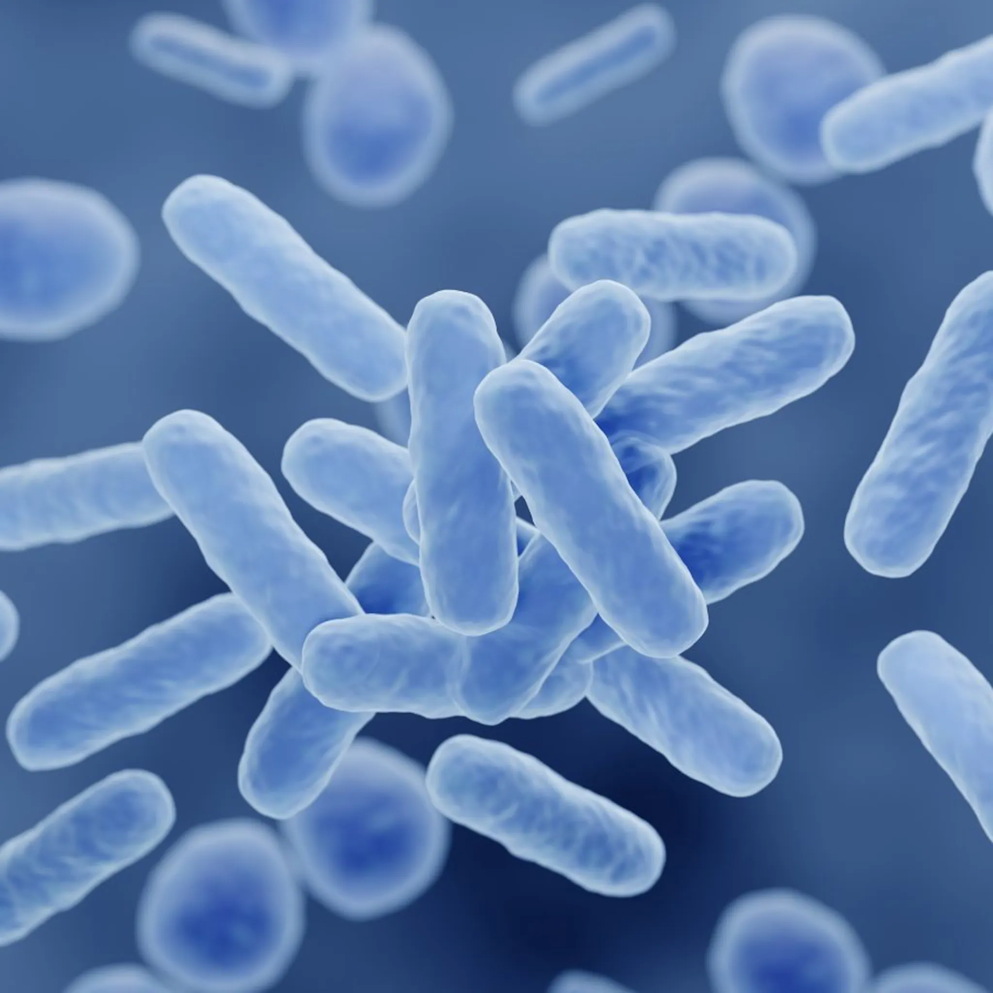 Qu'est-ce que le microbiote intestinal ? | Boiron