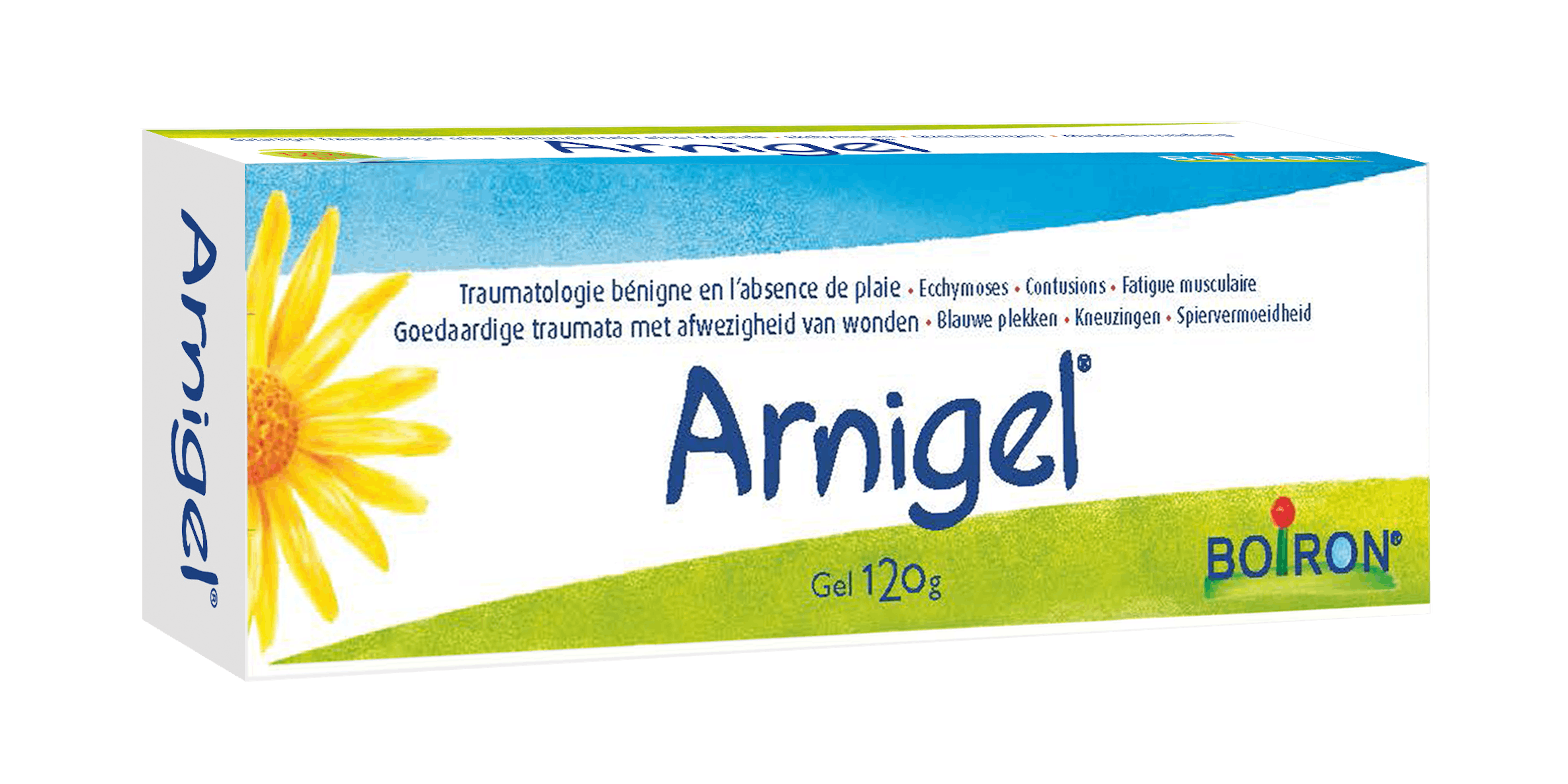 arnigel - onze homeopathische geneesmiddelen specialiteiten - Blauwe plekken - Builen - Spiervermoeidheid