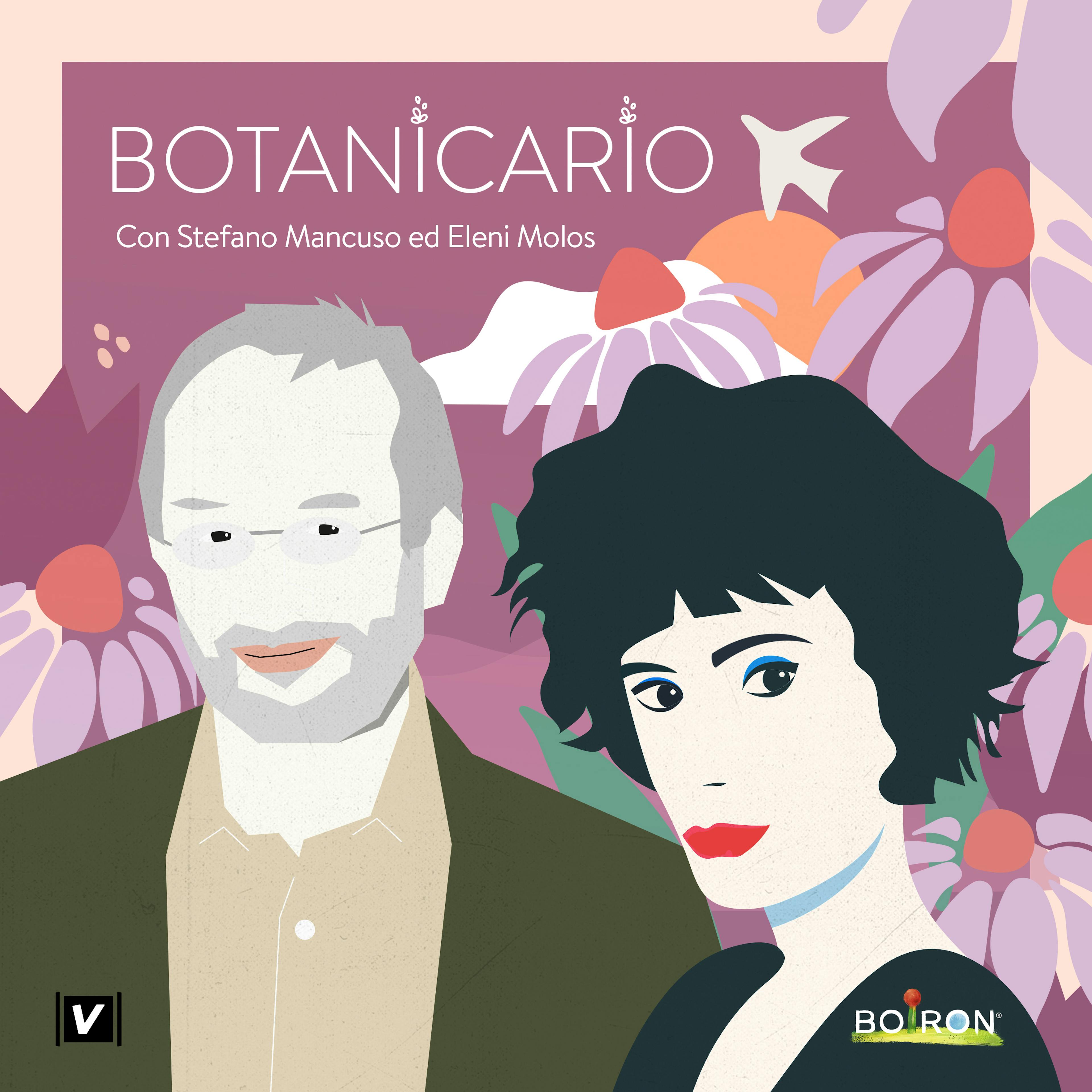 botanicario podcast copertina echinacea