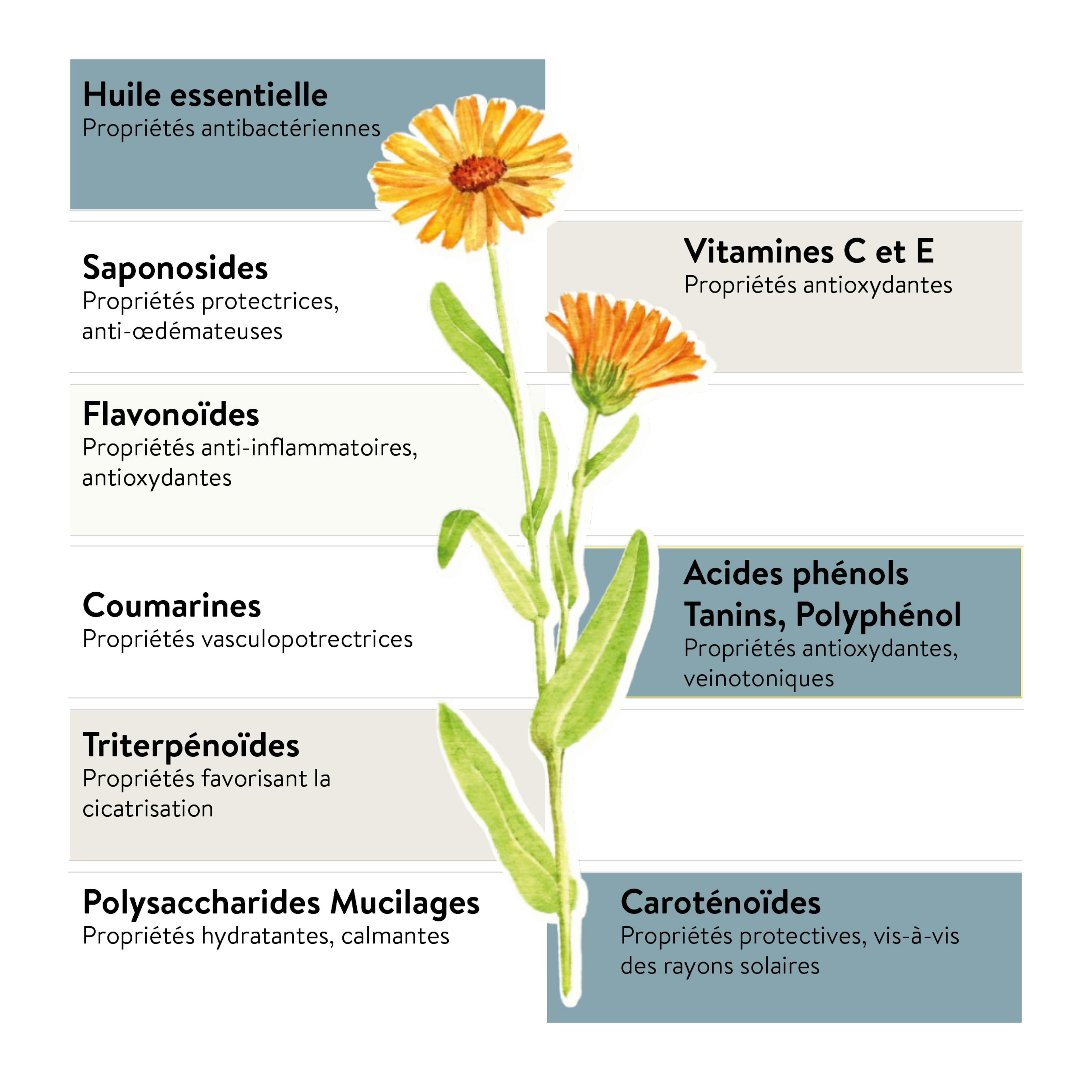 souche calendula officinalis propriétés boiron