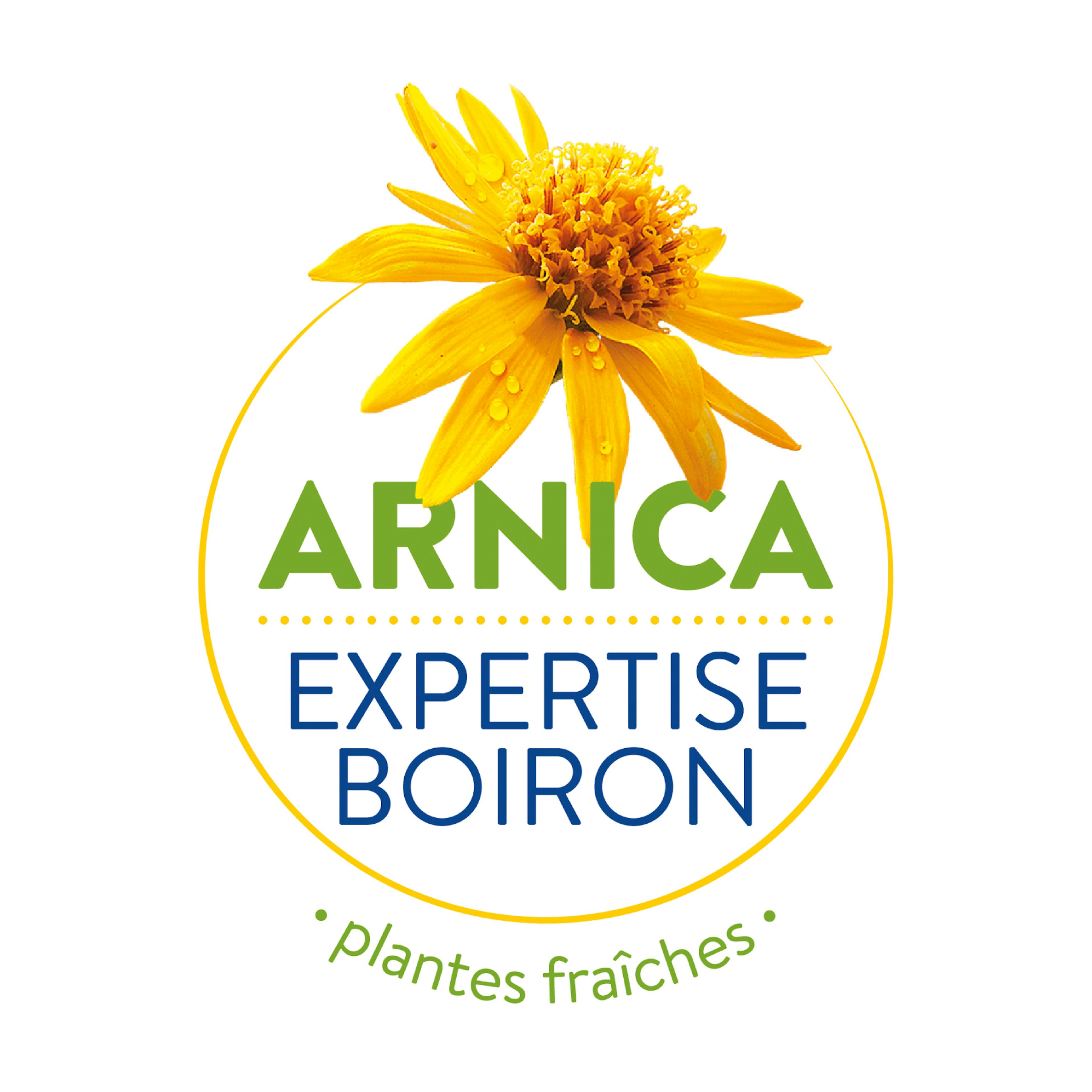 Arnica expertise Boiron