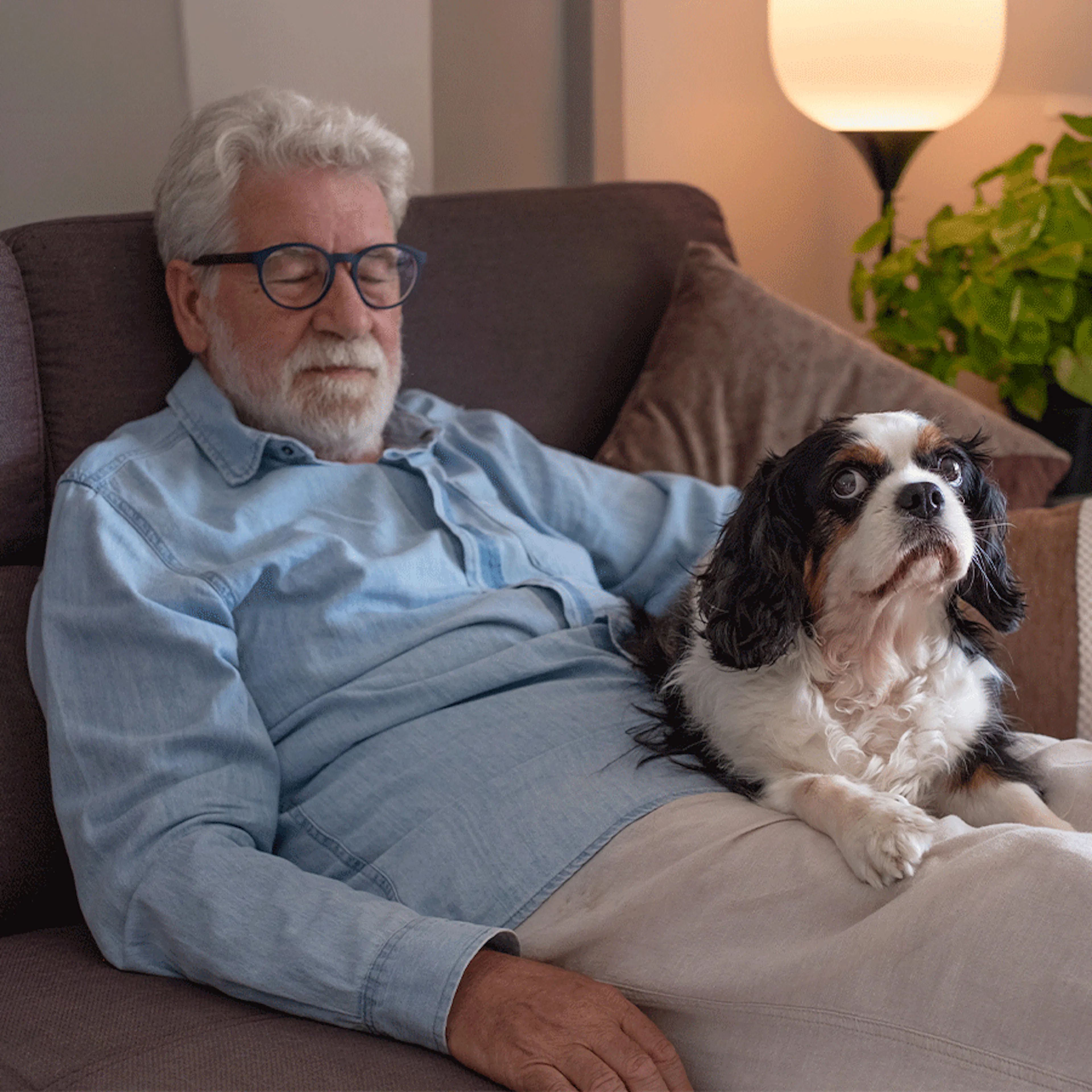 sieste senior sommeil boiron