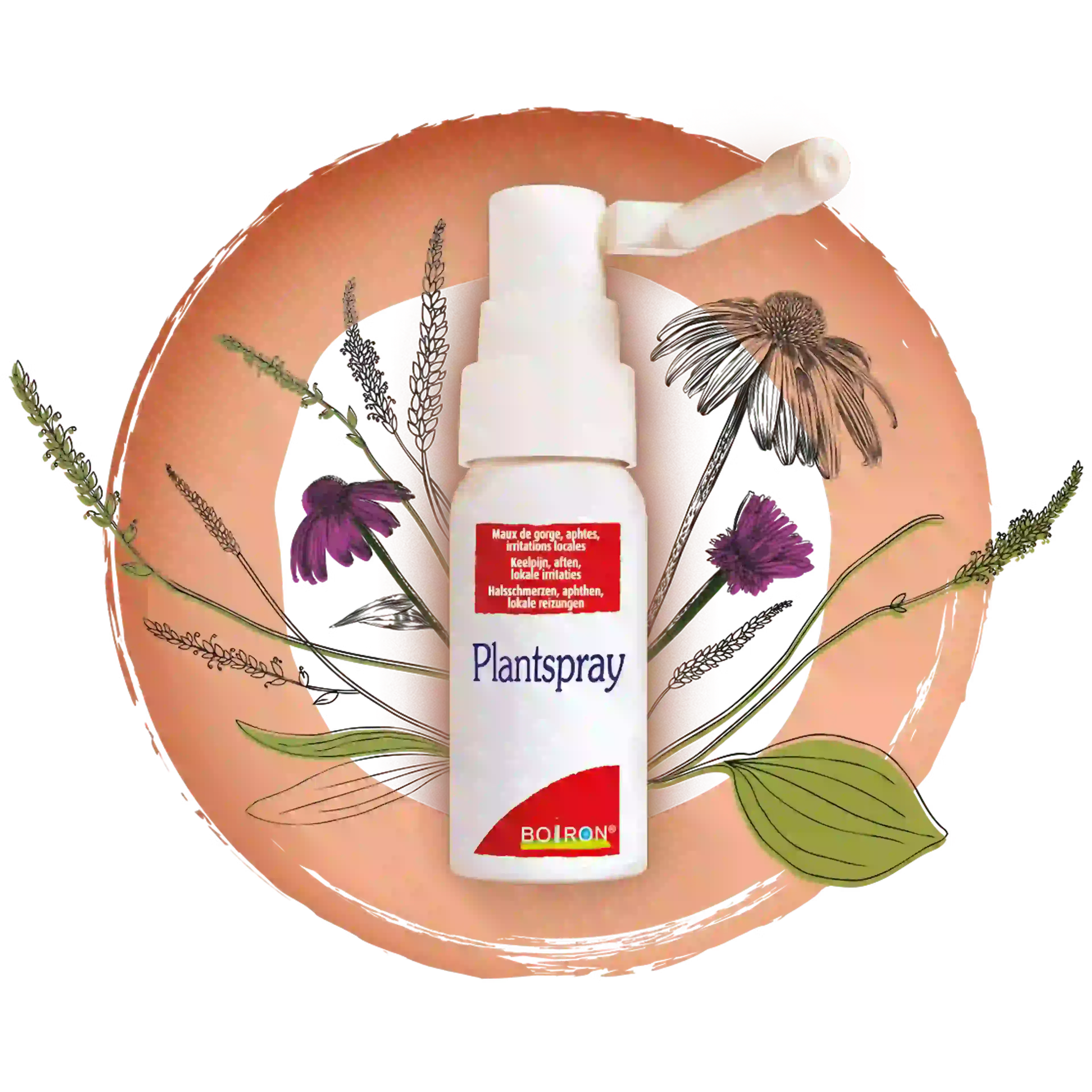 Spray Plantspray sur page Laryngotabs