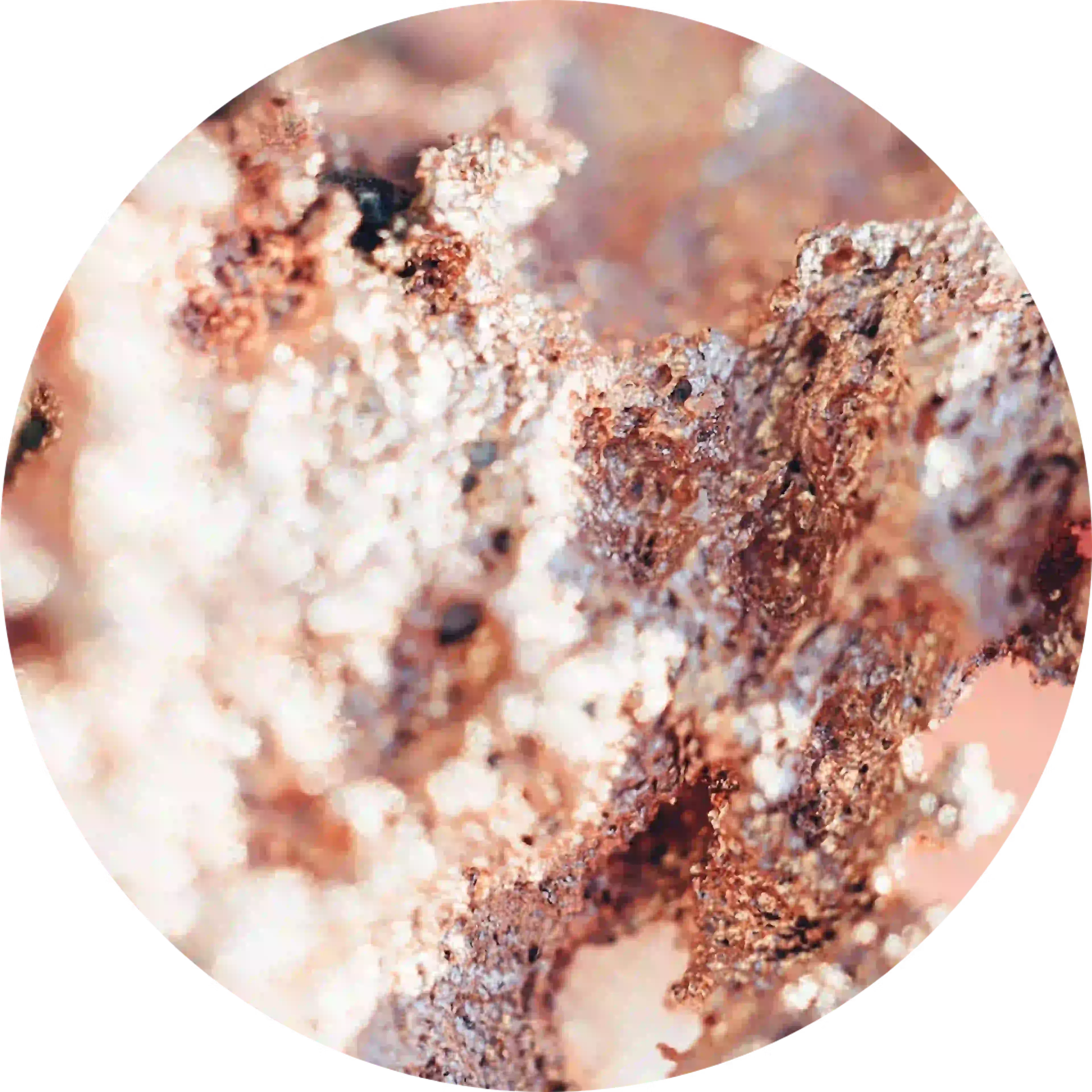 Cuprum metallicum, actief bestanddeel van Drosetux droge hoest