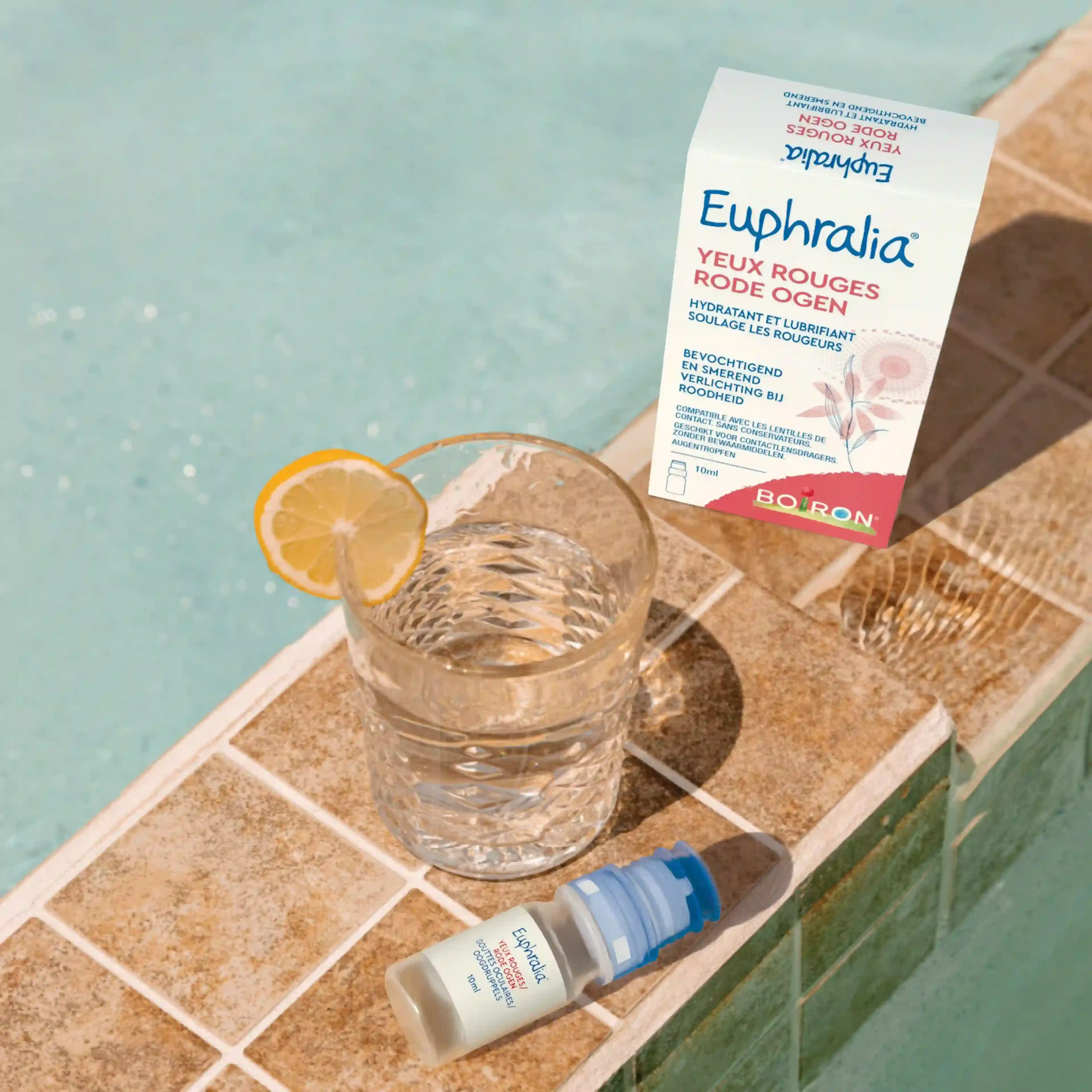 Euphralia yeux rouges bord de la piscine